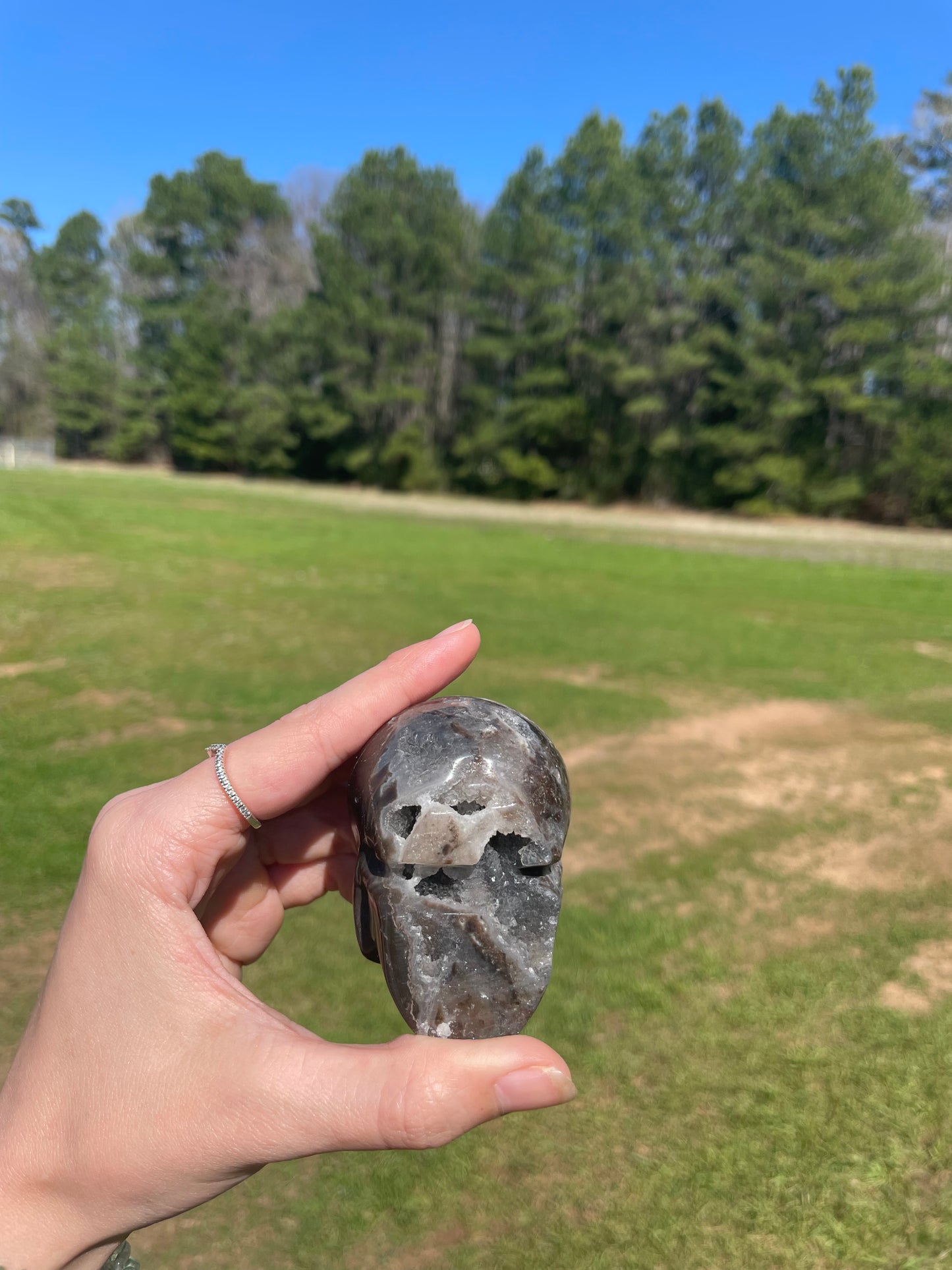 Druzy Sphalerite Skull #2🖤