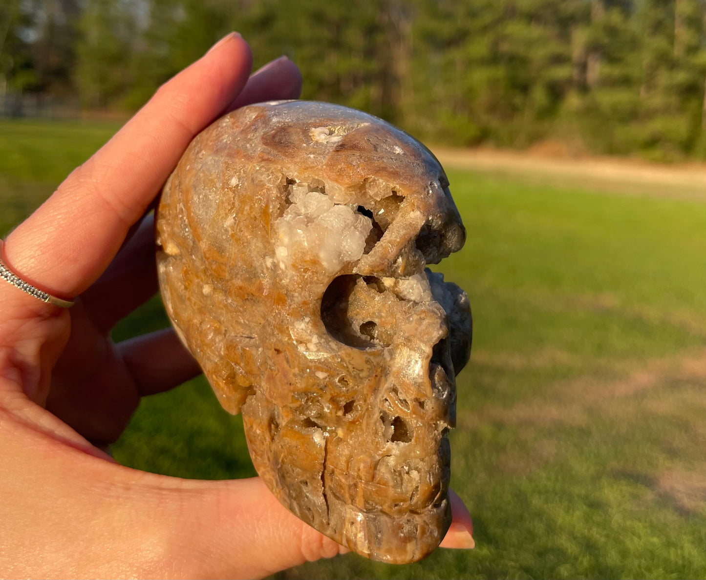 Unknown Material- Gorgeous Druzy Skull🤎