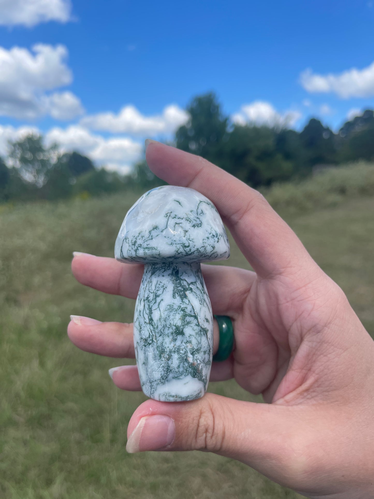 Large Druzy Moss Agate mushroom carving #3