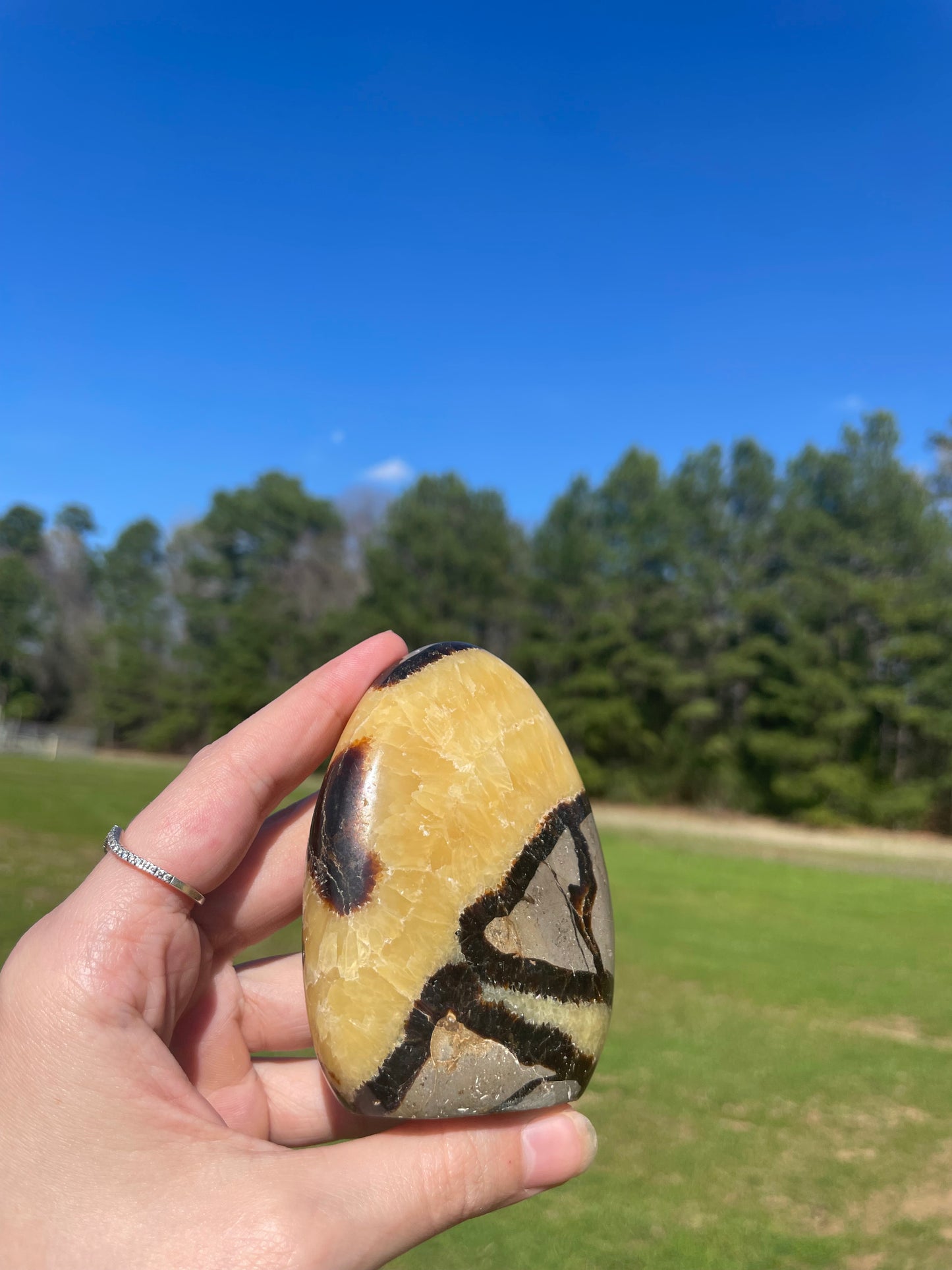 UV reactive Septarian Freeform #5