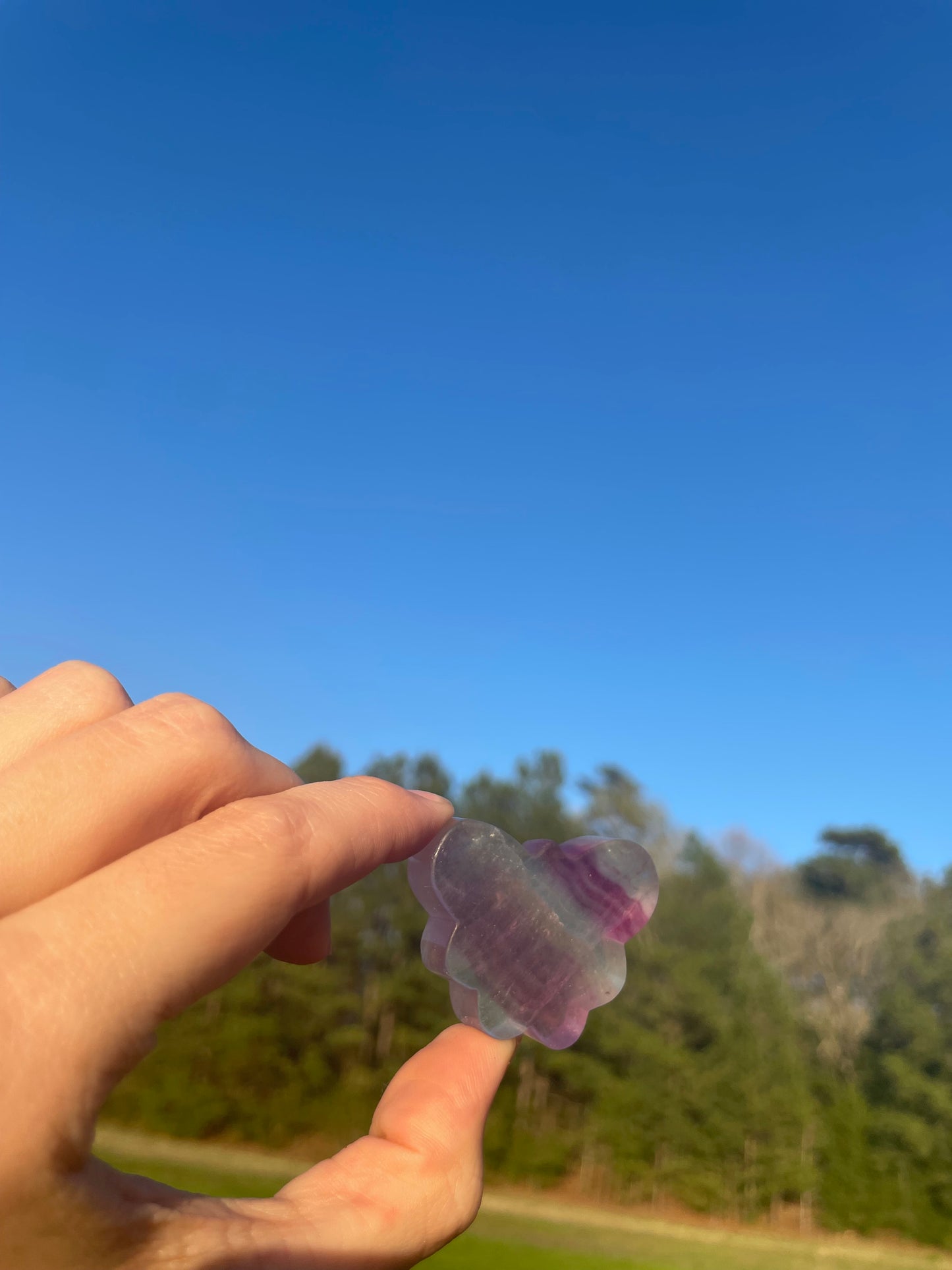 Imperfect Mini Fluorite Butterfly Carving🦋