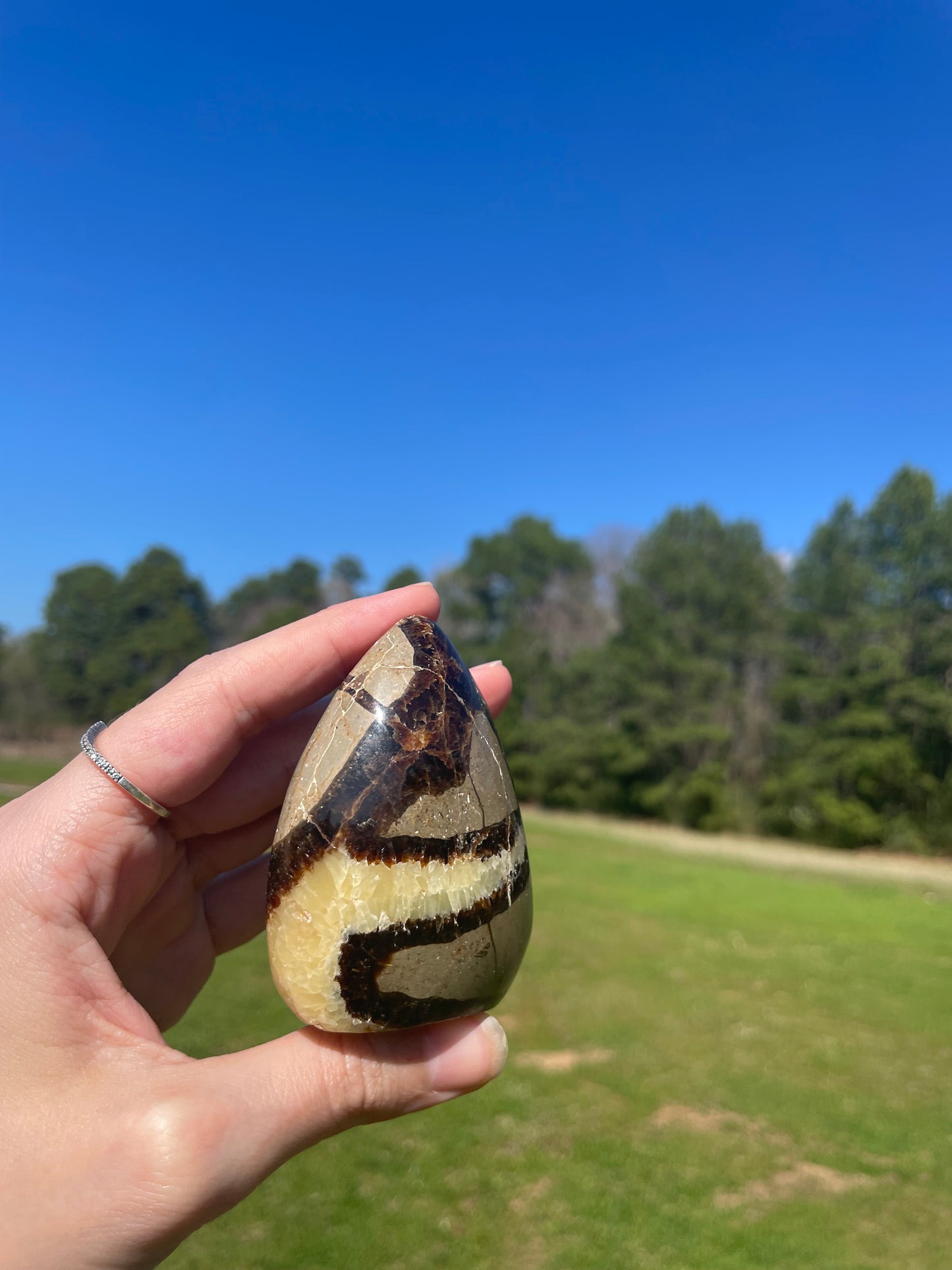 Druzy UV reactive Septarian Freeform #3