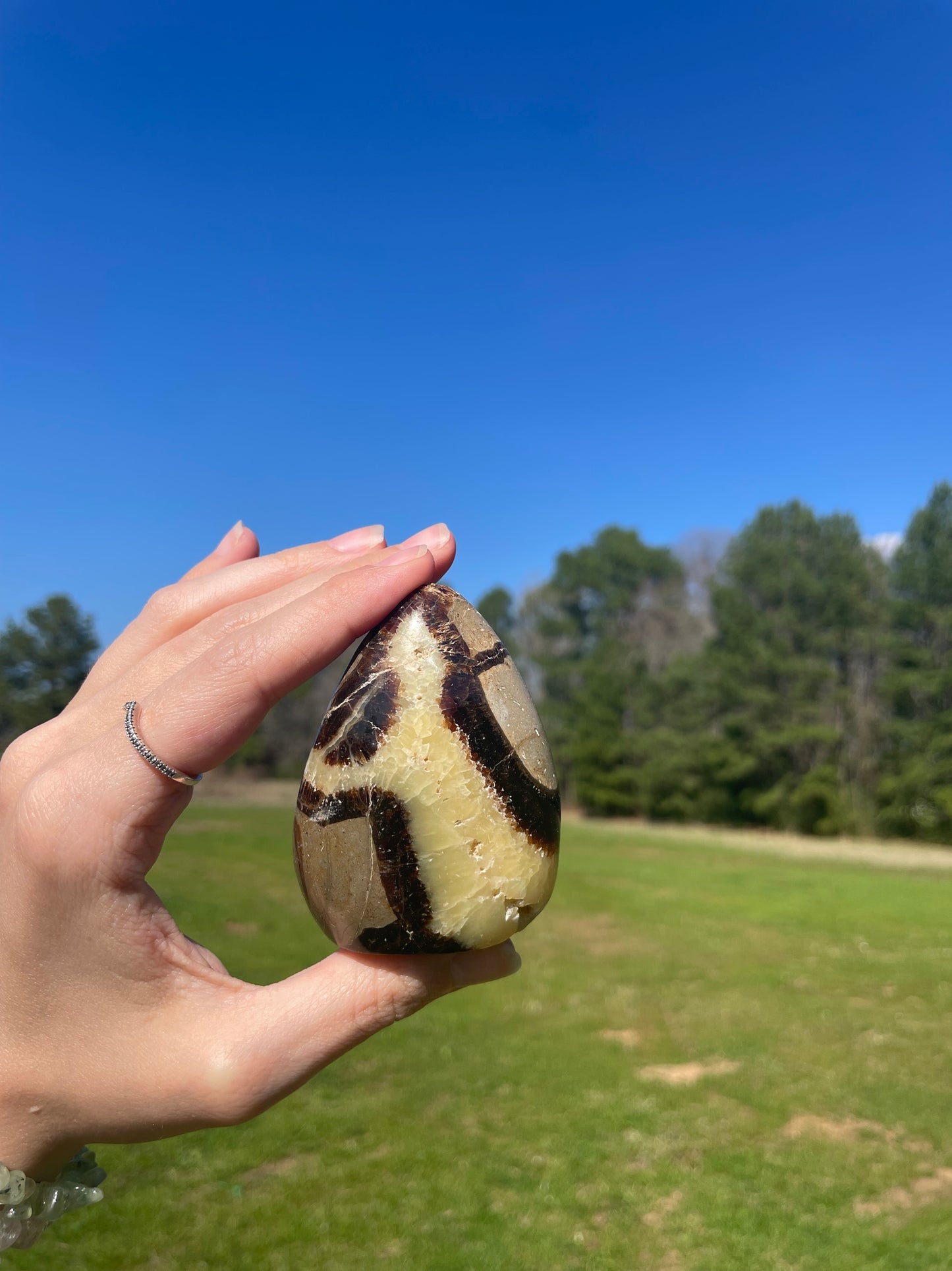 Druzy UV reactive Septarian Freeform #3