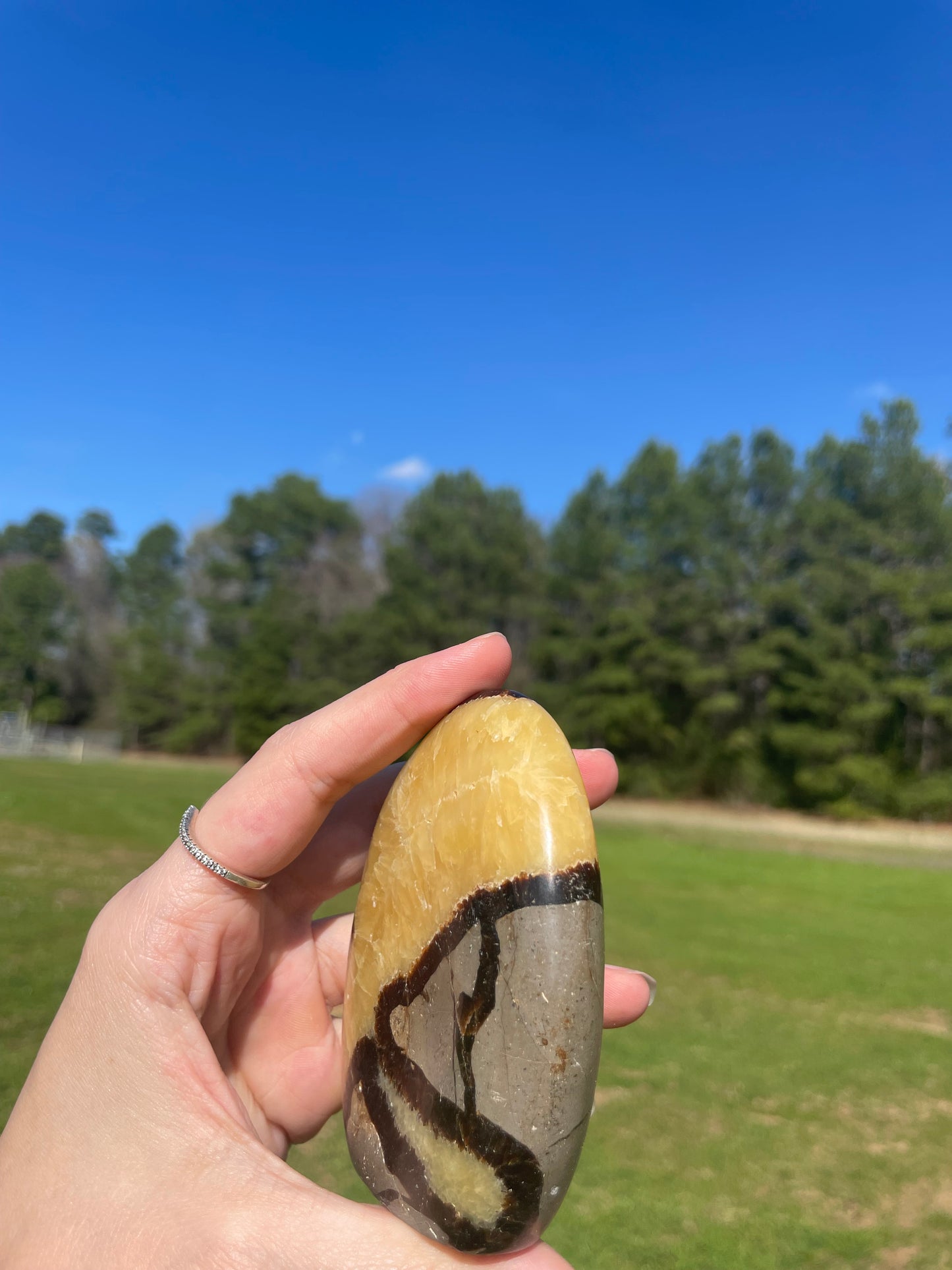 UV reactive Septarian Freeform #5