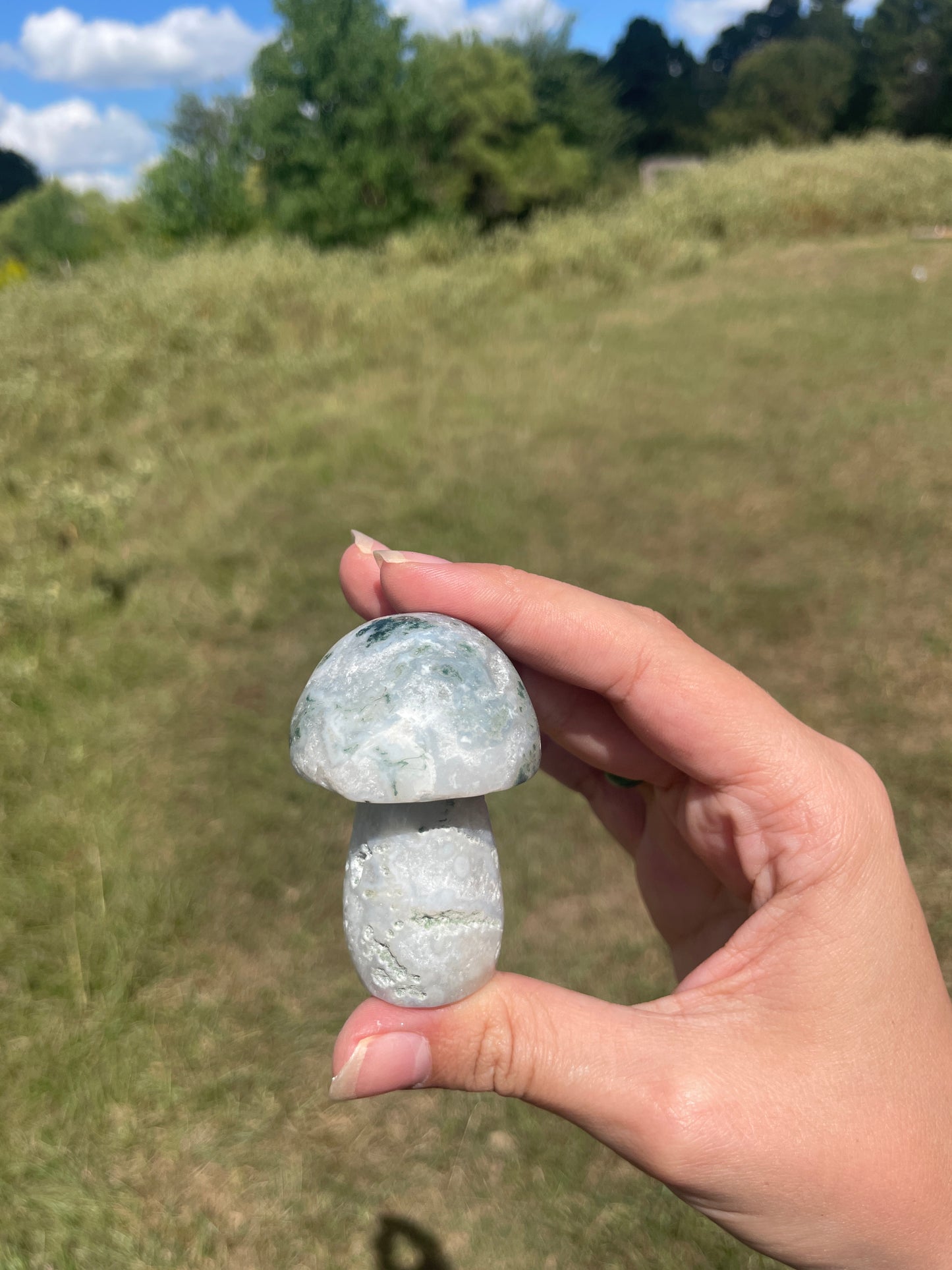 Druzy Large Moss Agate Mushroom #2
