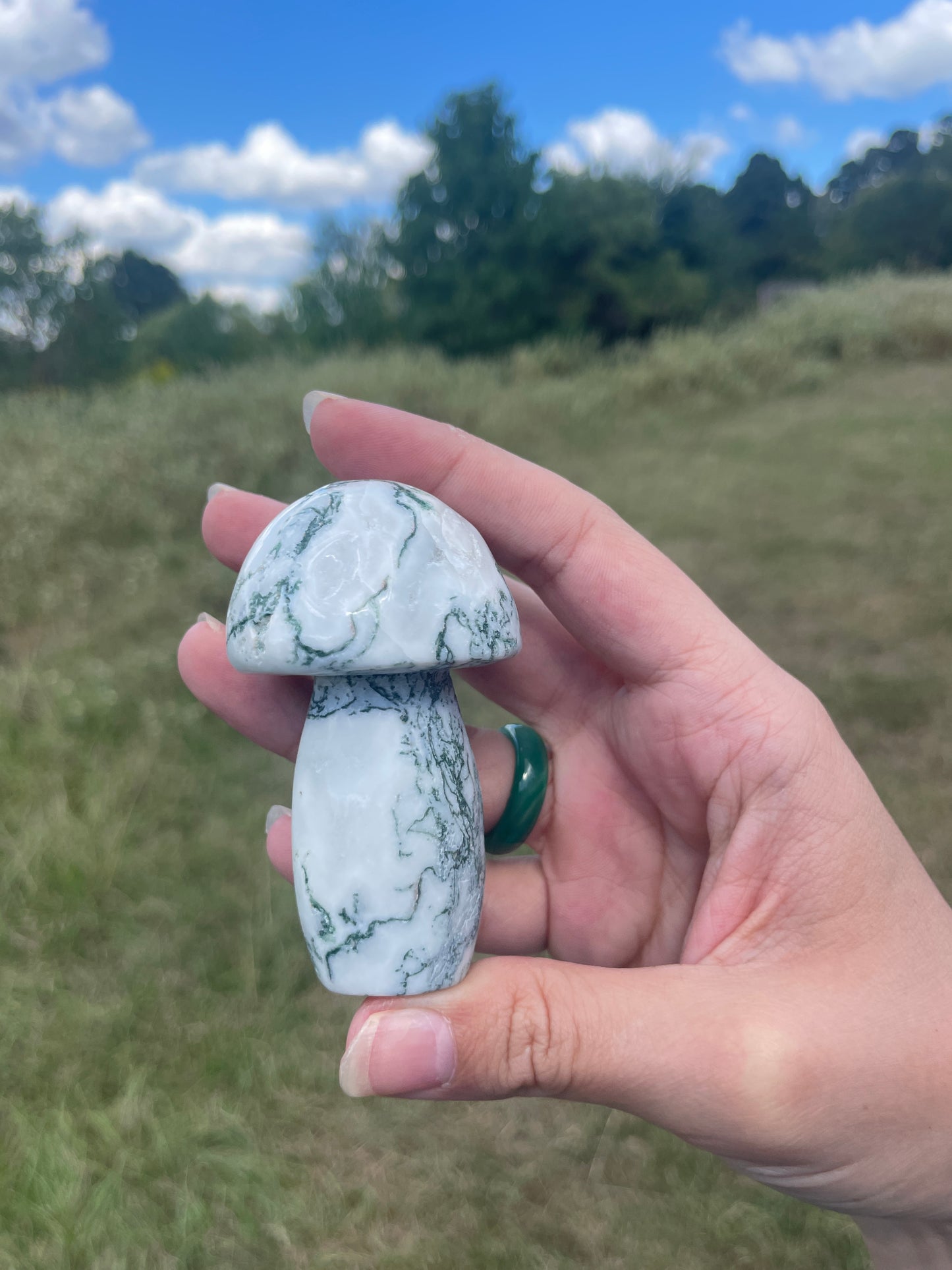 Large Druzy Moss Agate mushroom carving #3