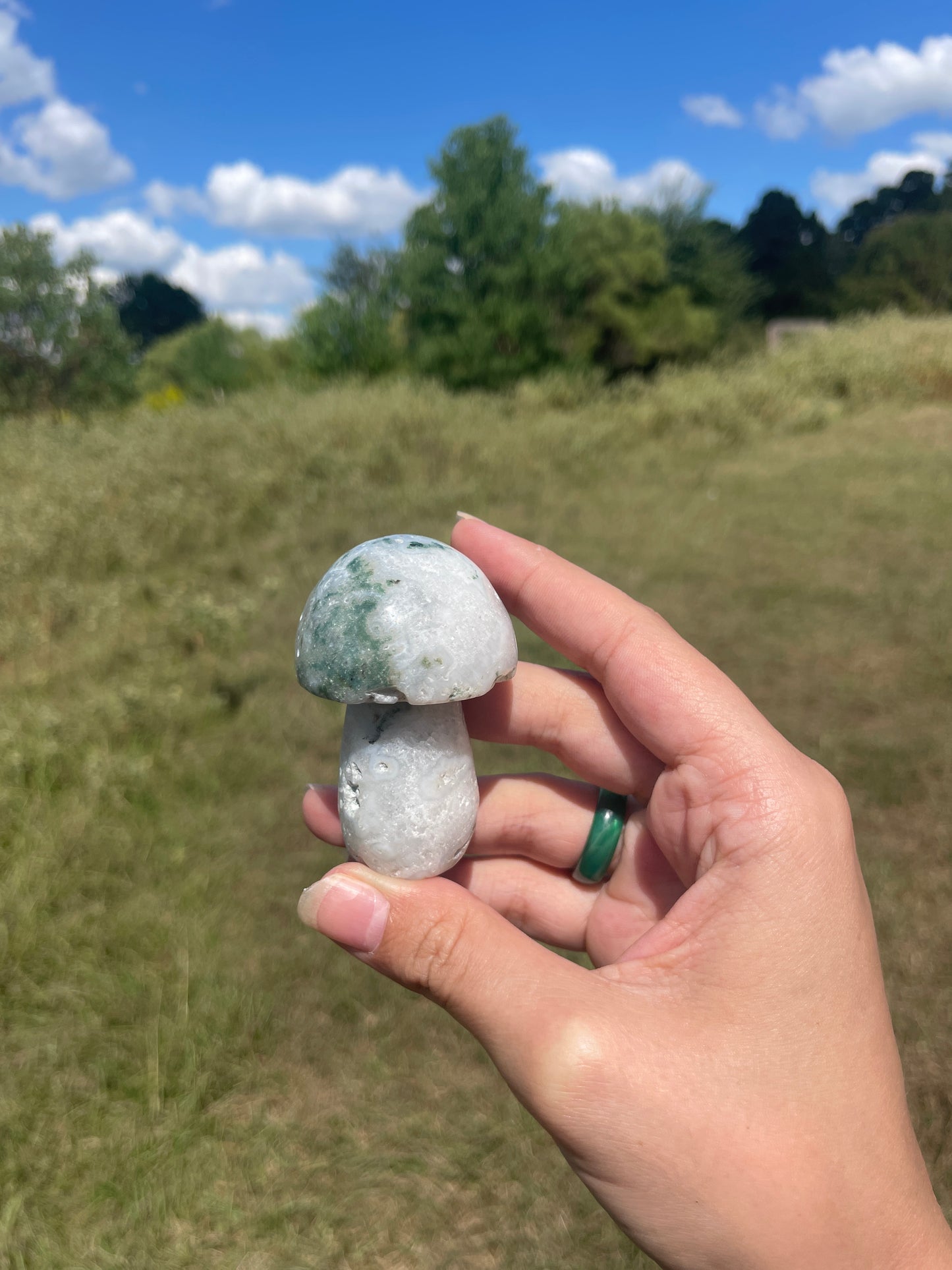 Druzy Large Moss Agate Mushroom #2