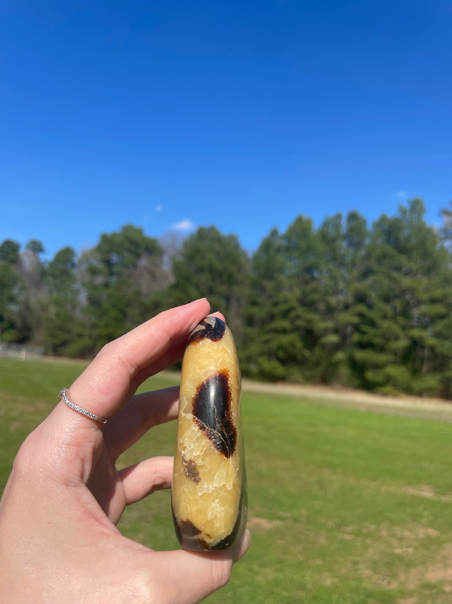 UV reactive Septarian Freeform #5