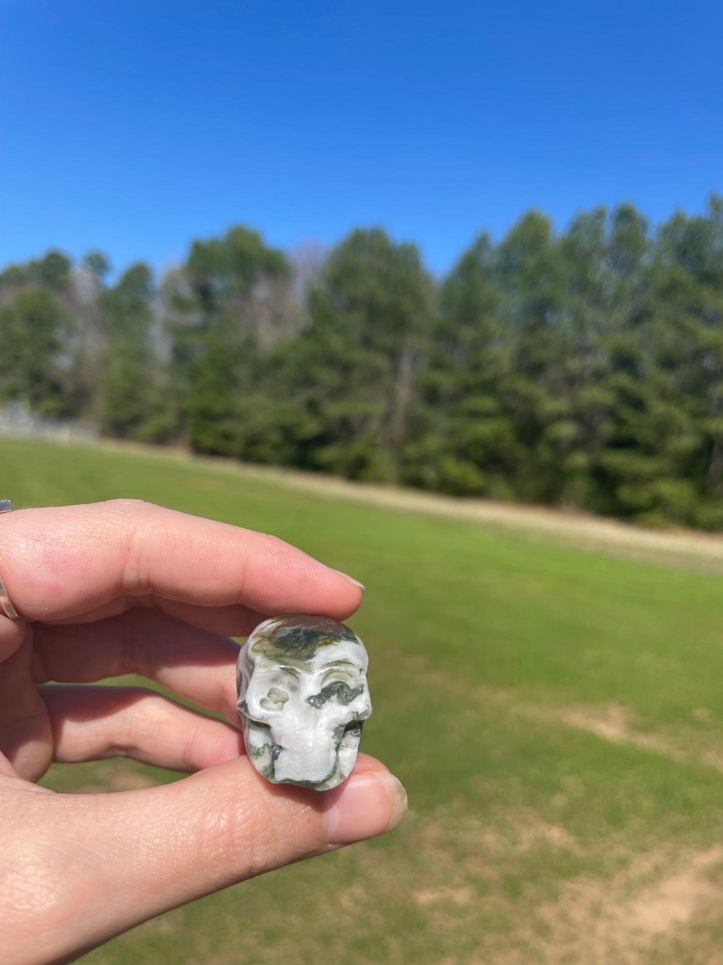 Imperfect MINI Druzy Moss Agate Skull