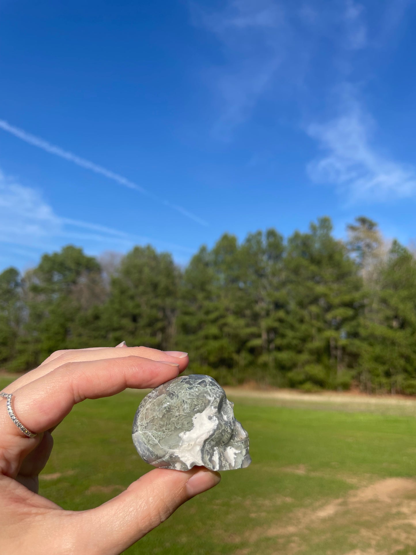 Druzy Moss Agate Small Skull