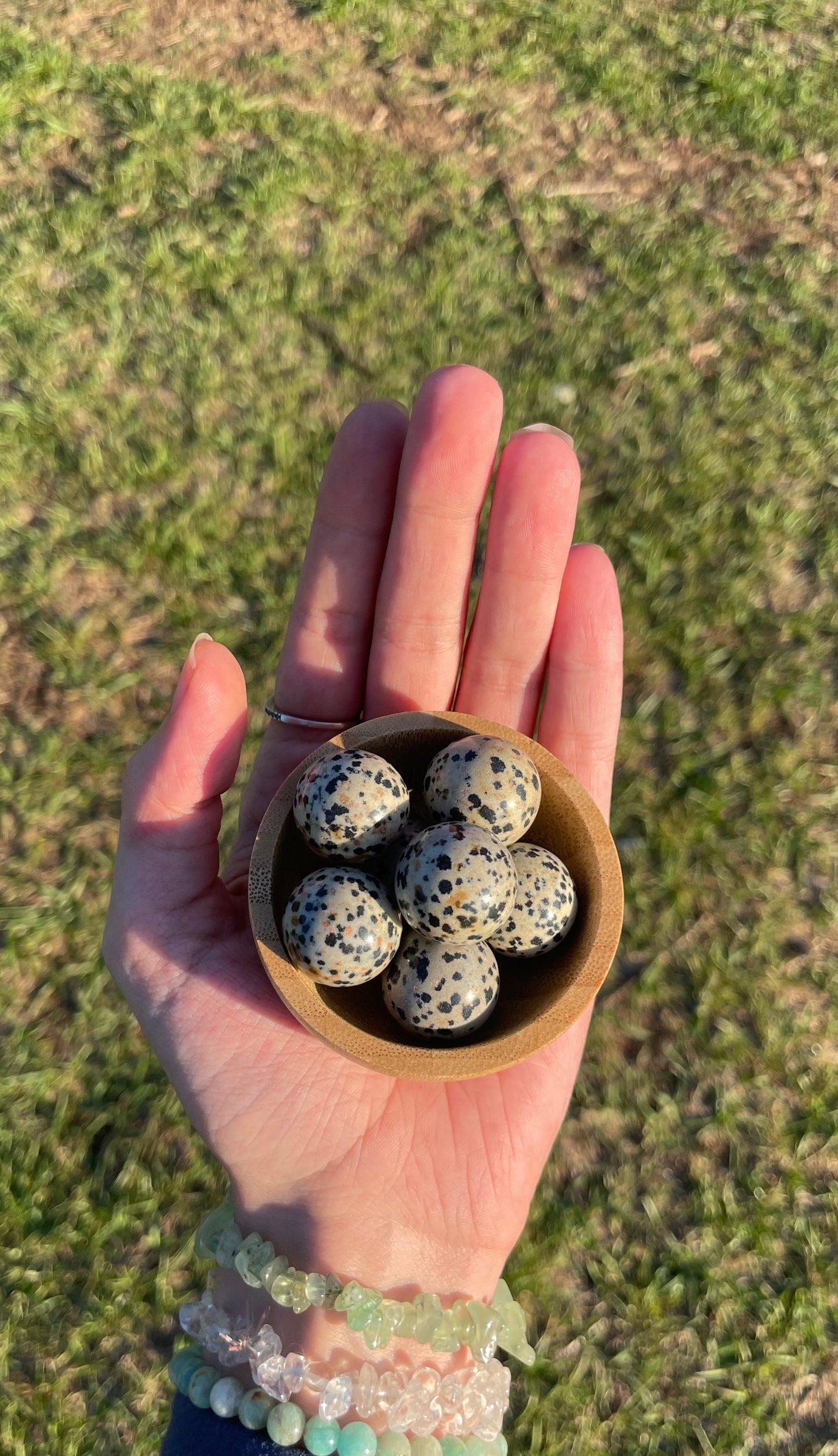 MINI Dalmatian Sphere