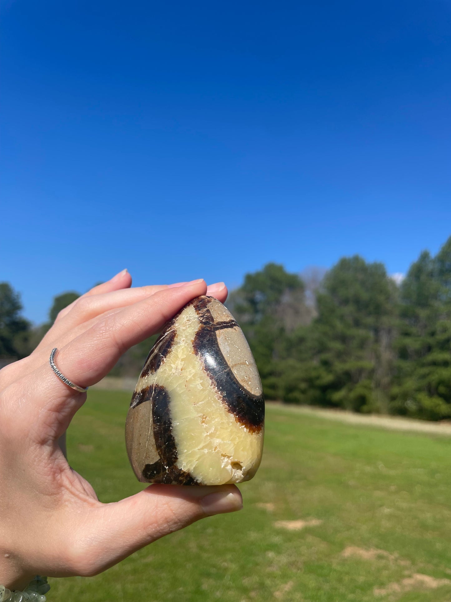 Druzy UV reactive Septarian Freeform #3