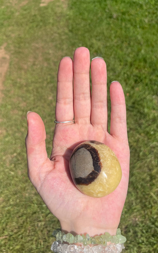 Septarian Palm Stone