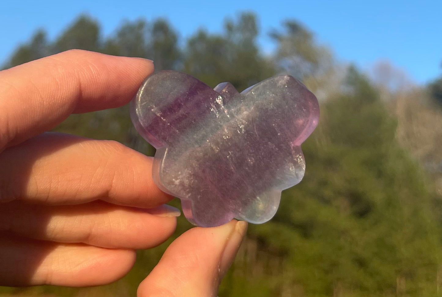 Imperfect Mini Fluorite Butterfly Carving🦋