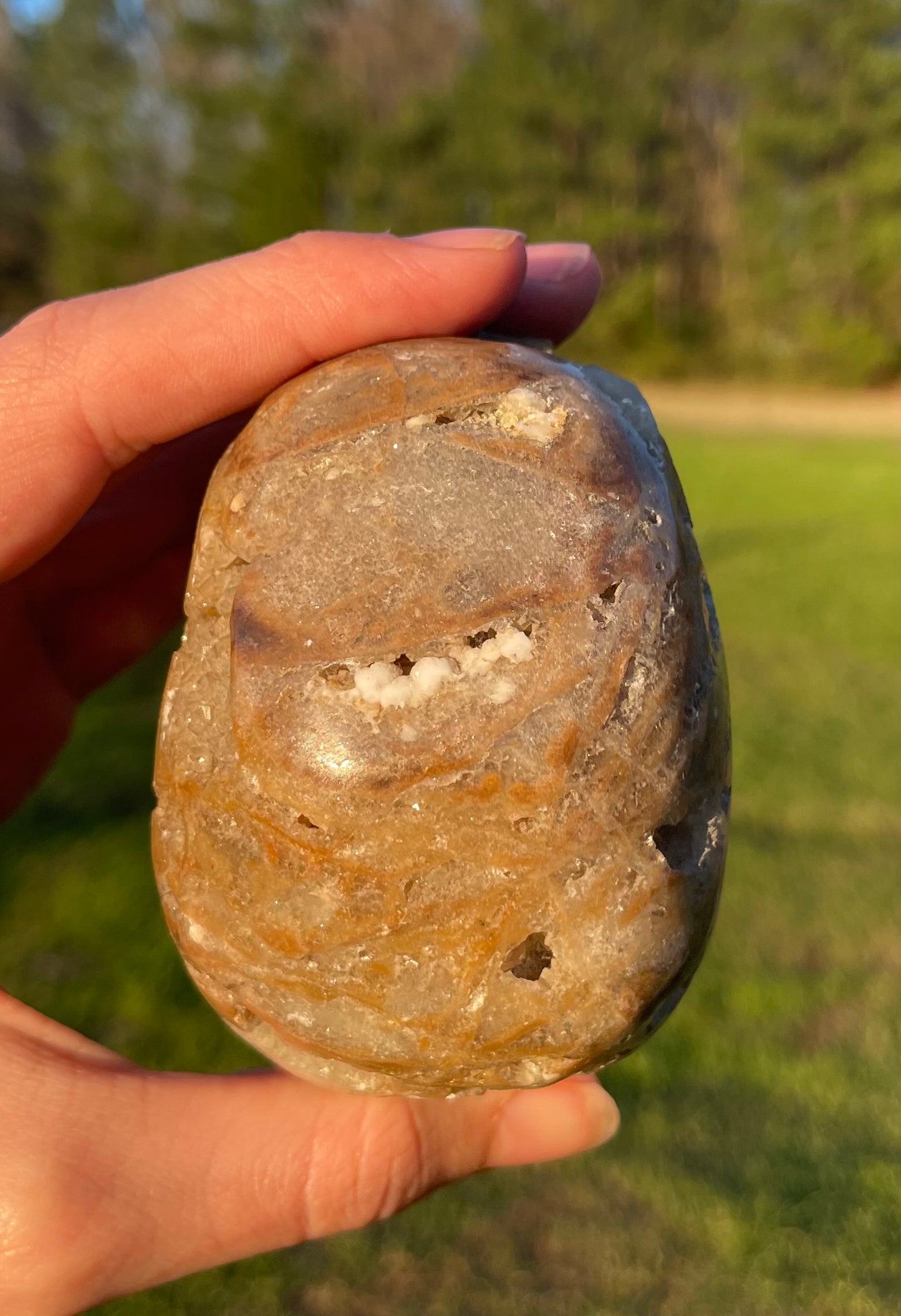 Unknown Material- Gorgeous Druzy Skull🤎