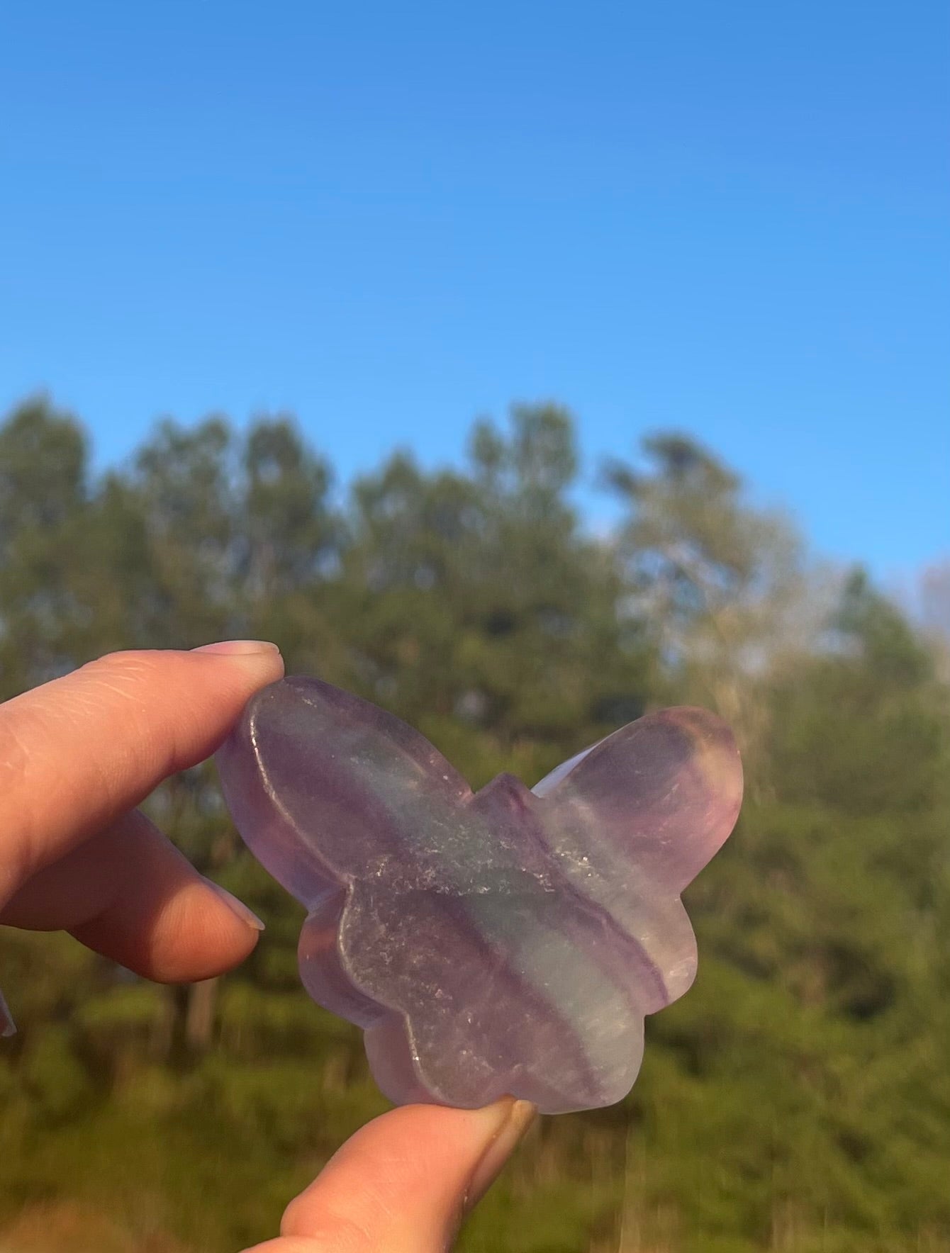 Imperfect Fluorite Butterfly Carving🦋