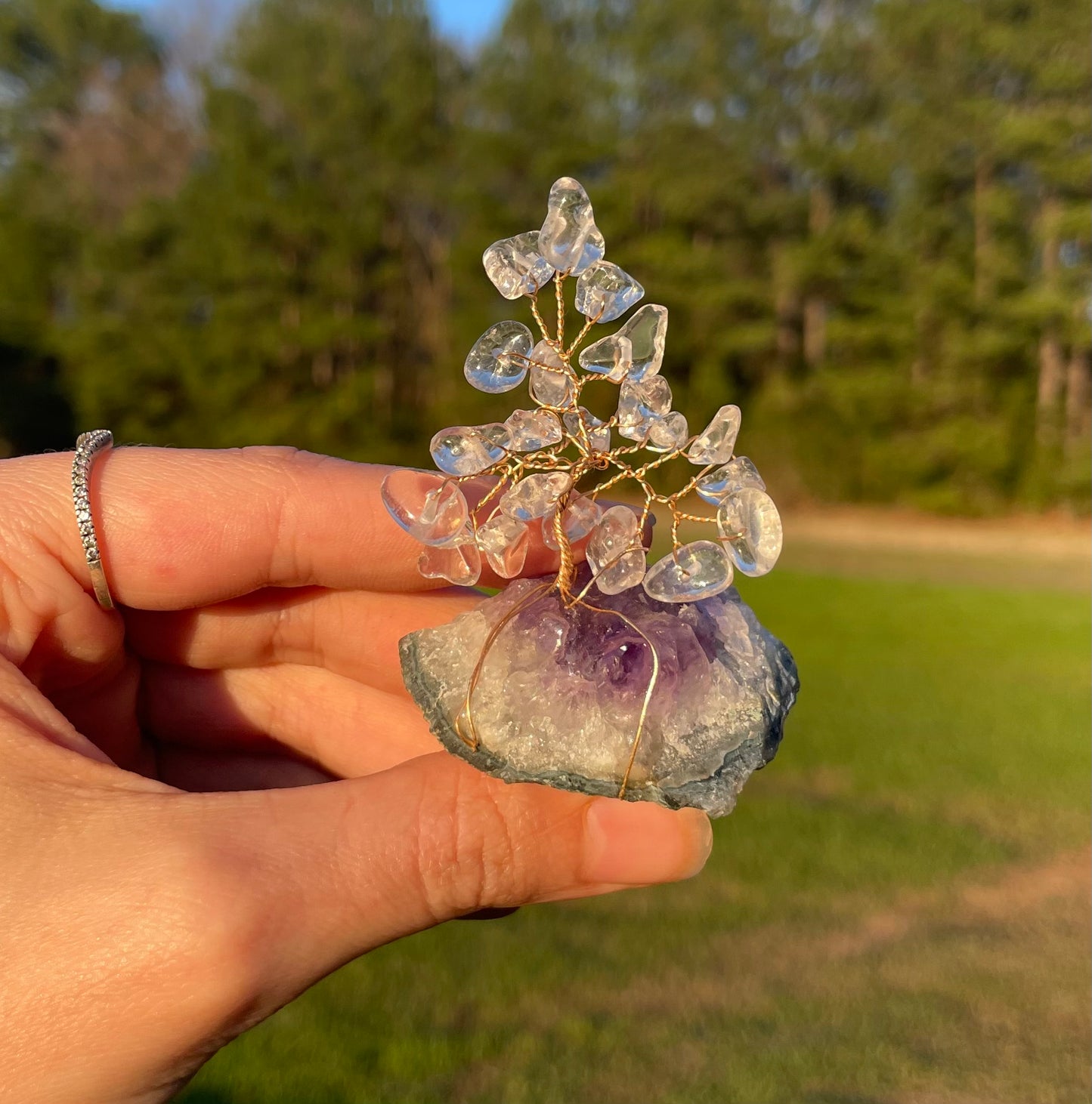 Tree Of Life Clear Quartz Amethyst cluster base