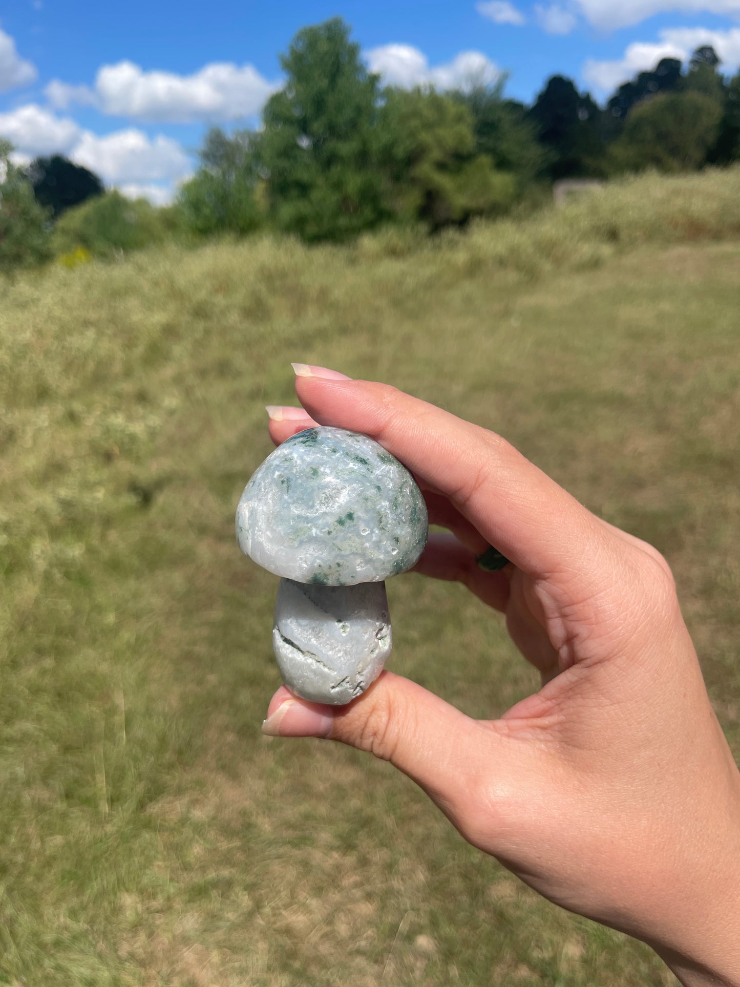 Druzy Large Moss Agate Mushroom #2
