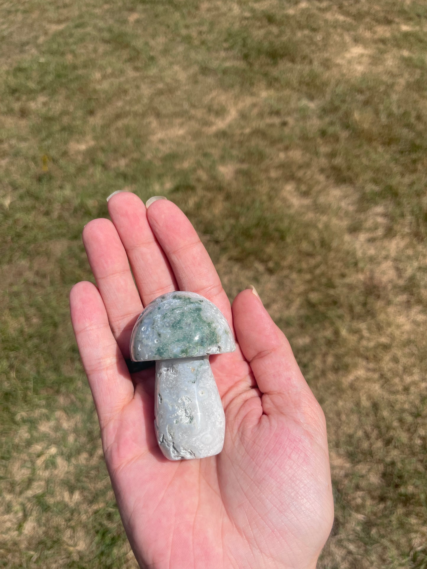 Druzy Large Moss Agate Mushroom #2