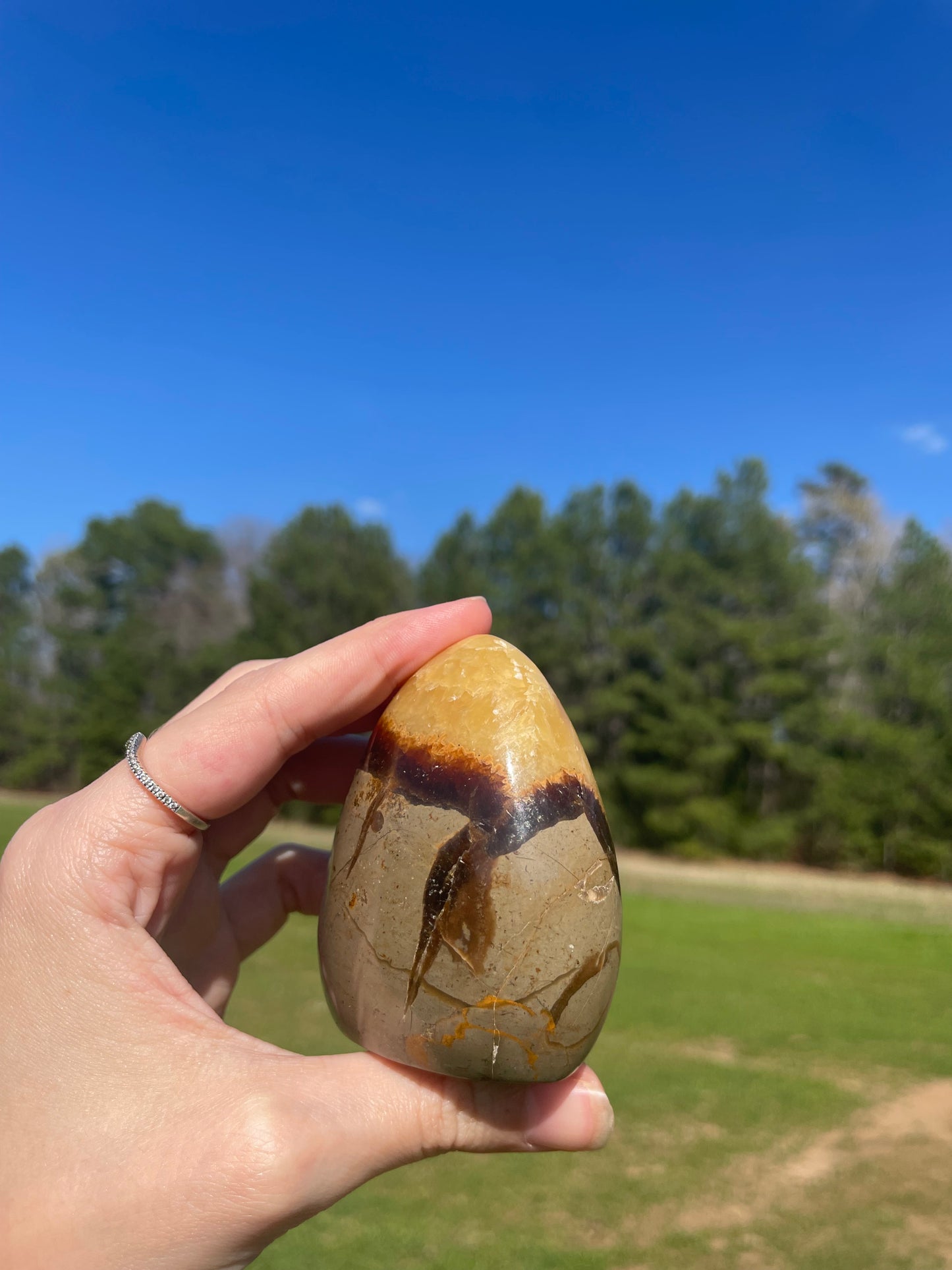 Imperfect UV reactive Septarian Freeform #4