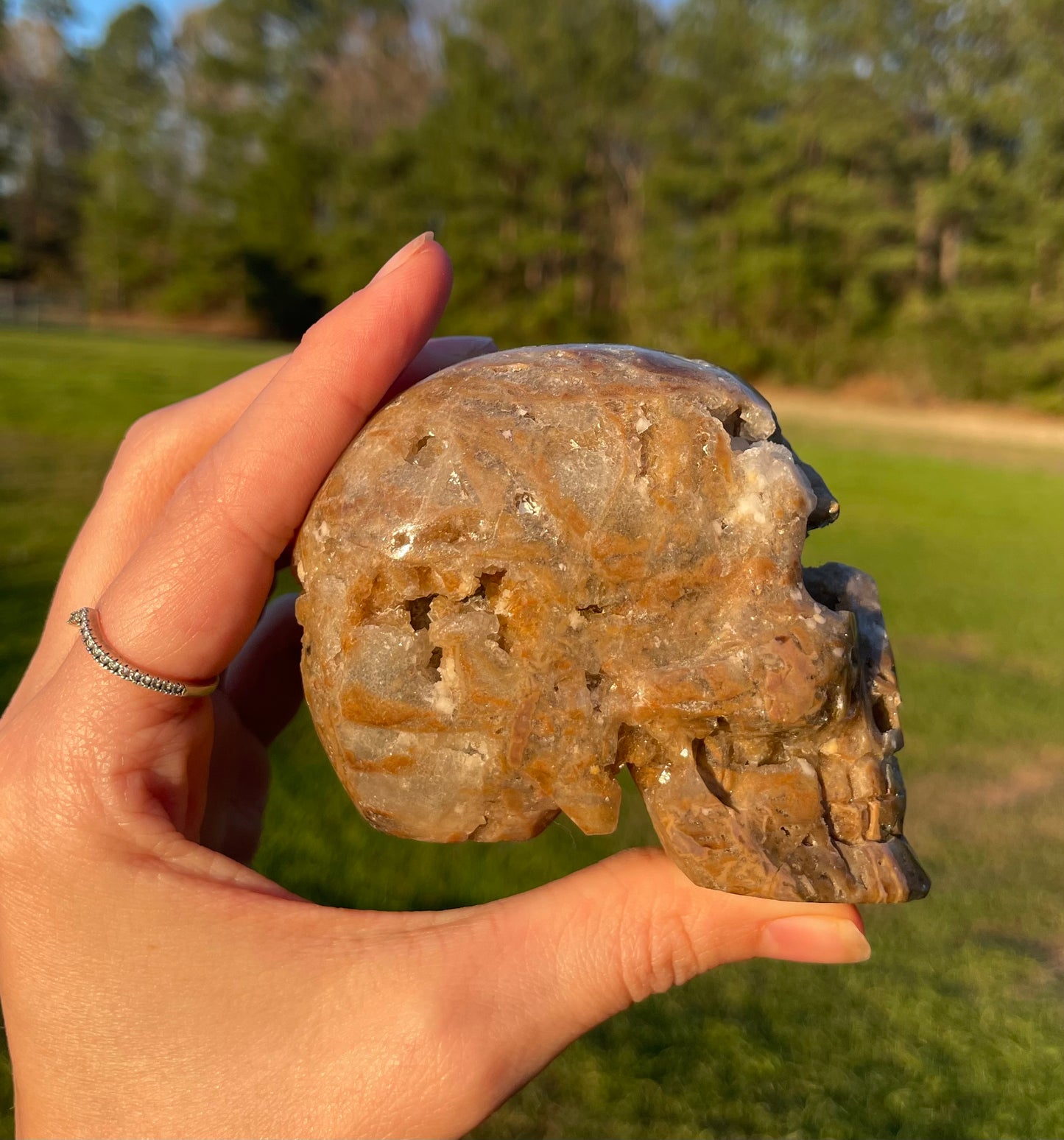 Unknown Material- Gorgeous Druzy Skull🤎