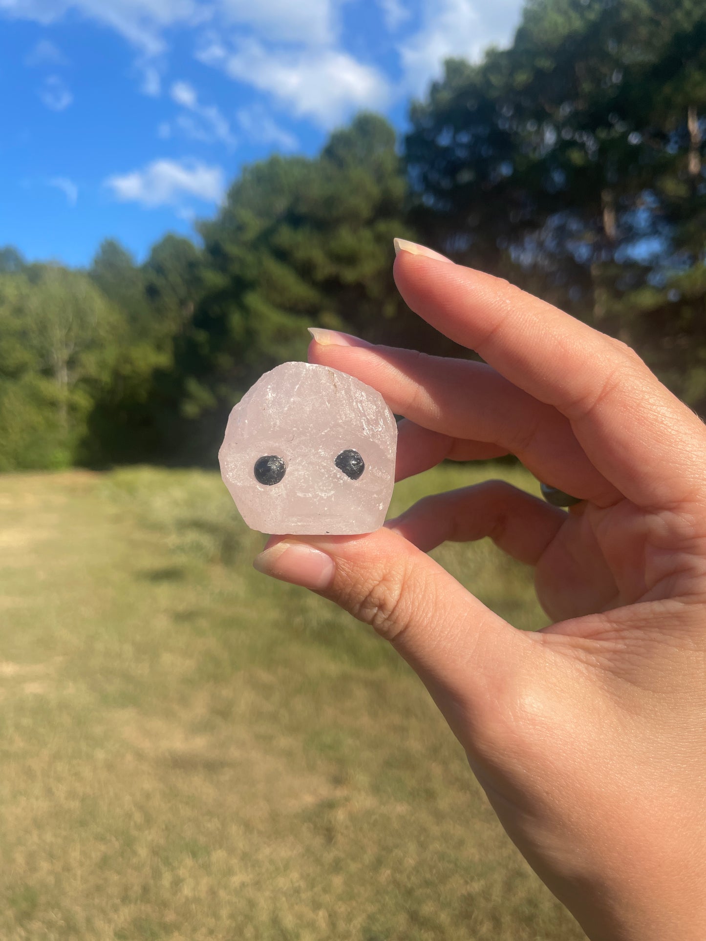 Mini Rose Quartz Rick Buddy #3