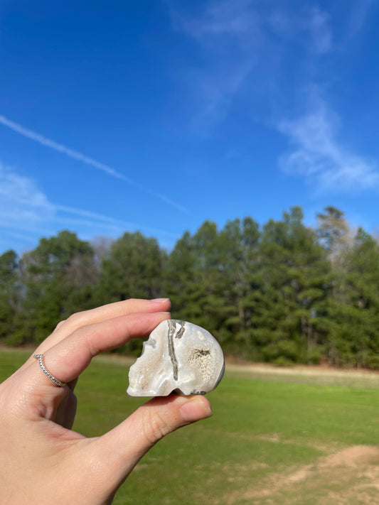 Druzy Moss Agate Small Skull