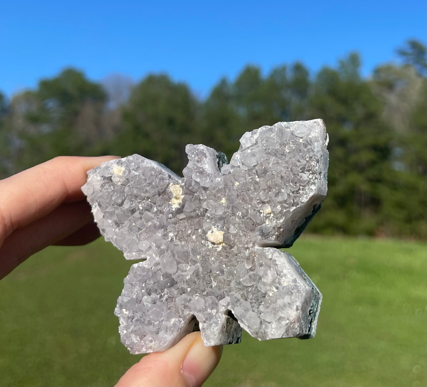 Druzy Amethyst Butterfly Cluster Carving 🦋