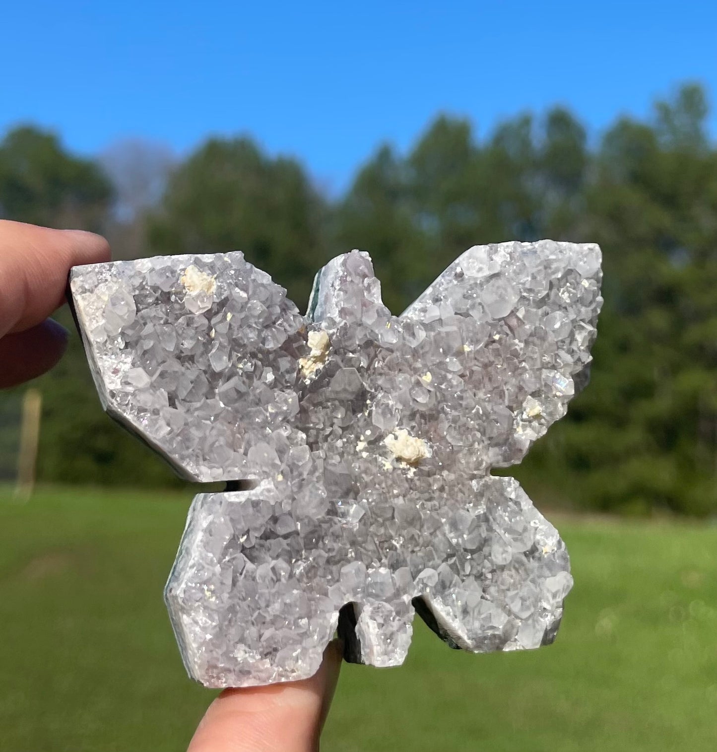 Druzy Amethyst Butterfly Cluster Carving 🦋