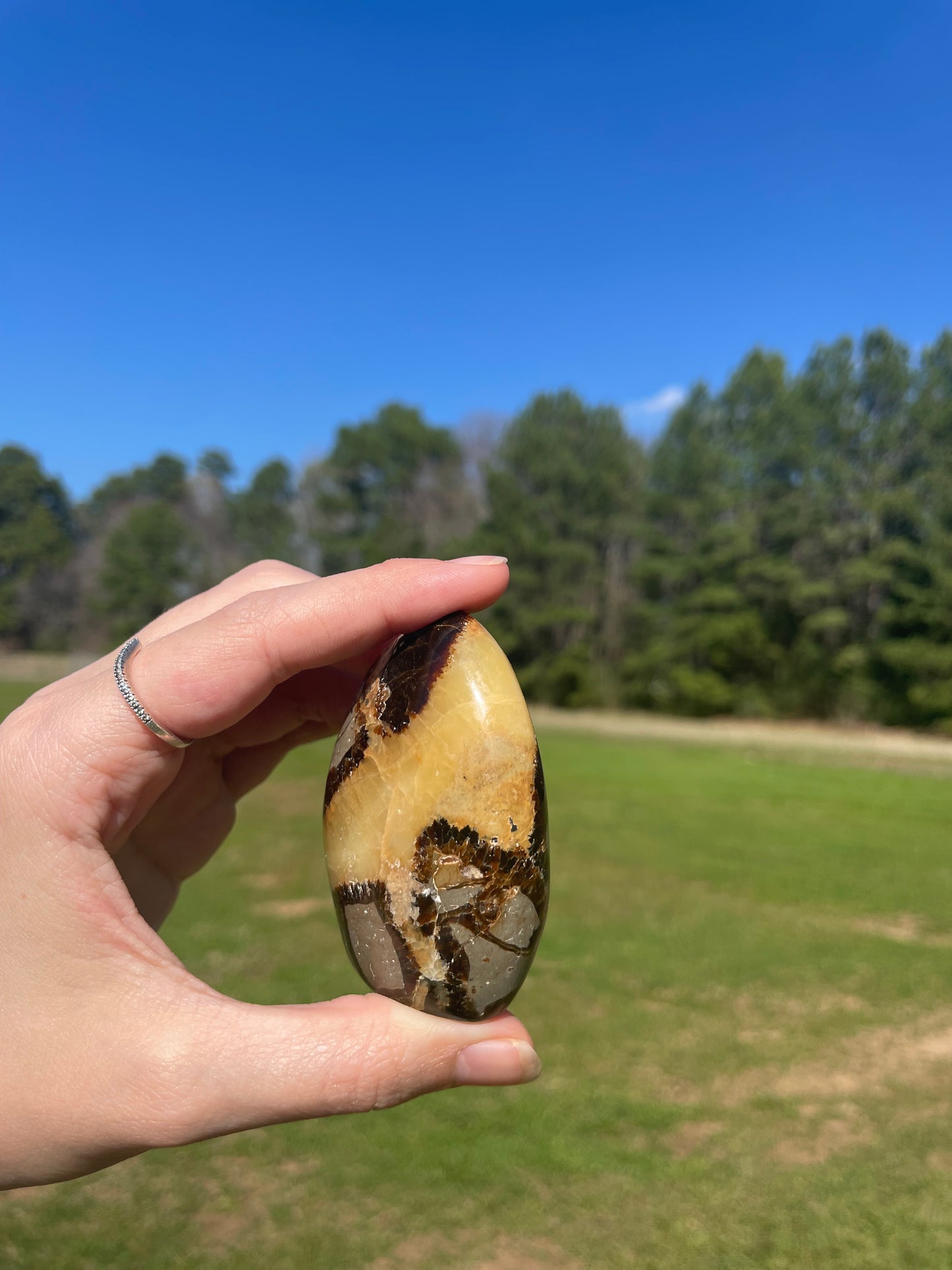 UV Reactive Septarian Freeform#1