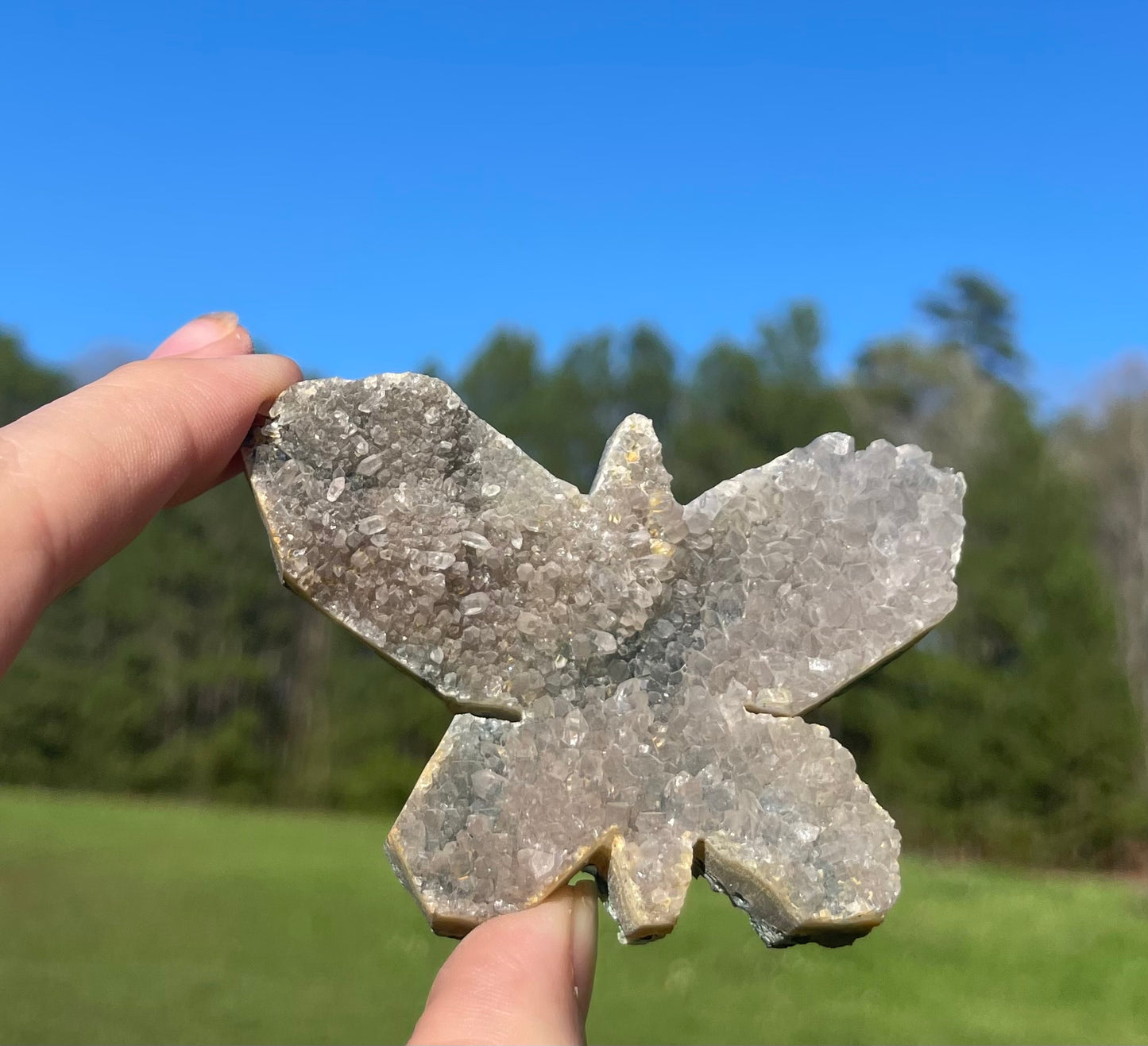 Druzy Amethyst Butterfly Carving 🦋