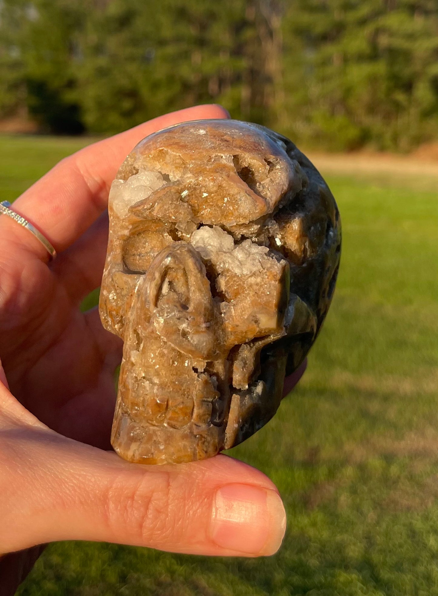 Unknown Material- Gorgeous Druzy Skull🤎