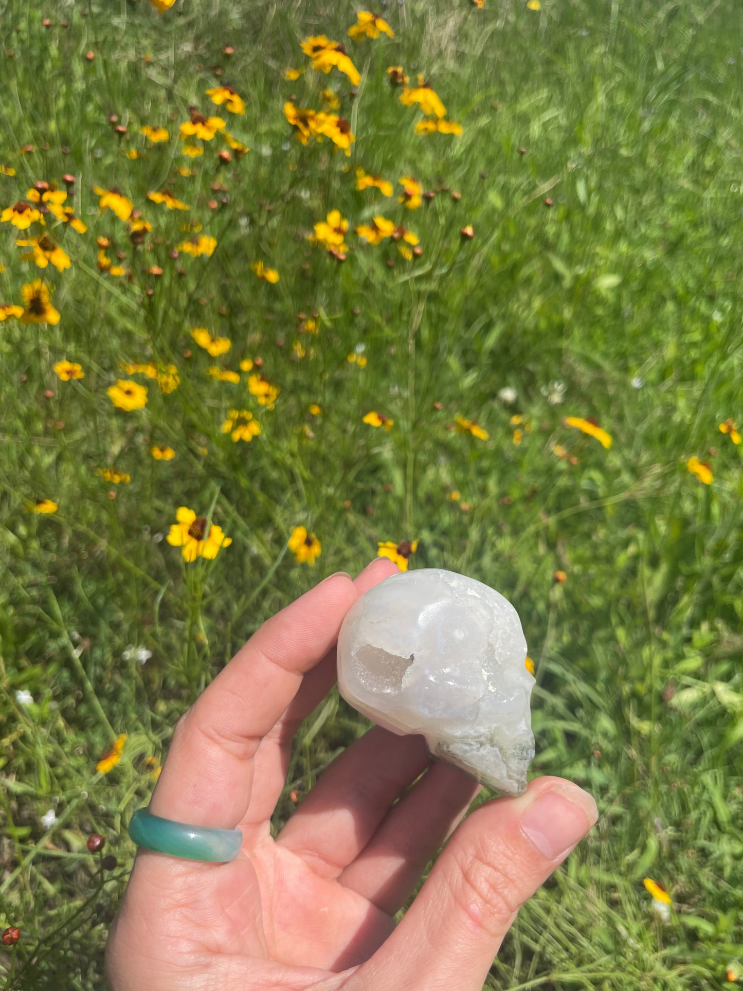 Moss Agate Druzy Skull small Carving