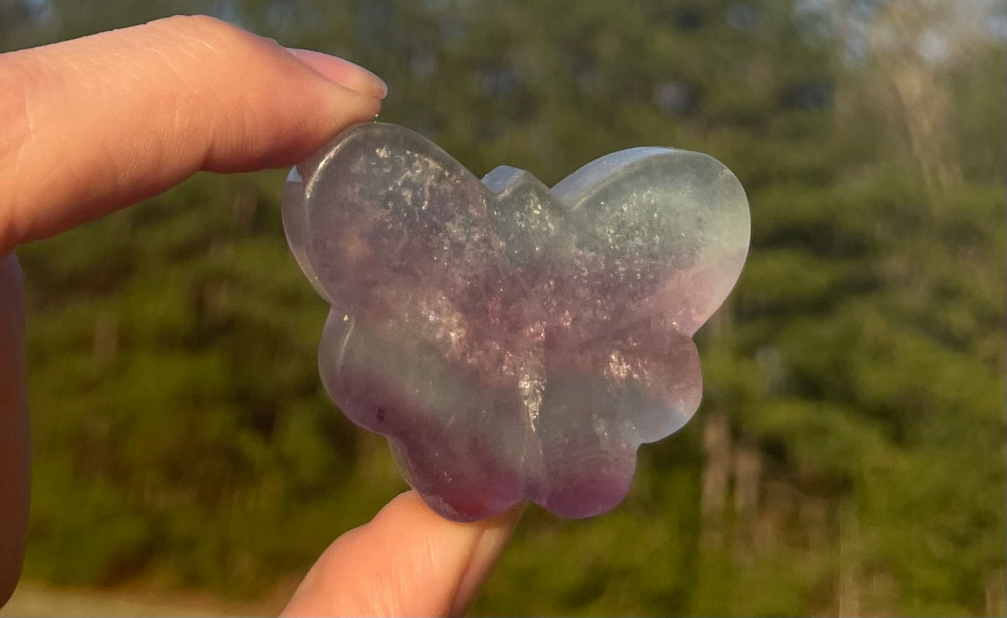 Mini Fluorite Butterfly Carving 🦋