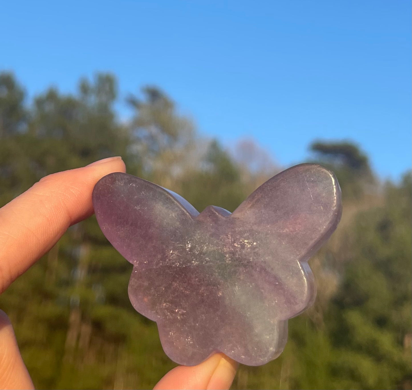 Imperfect Fluorite Butterfly Carving🦋