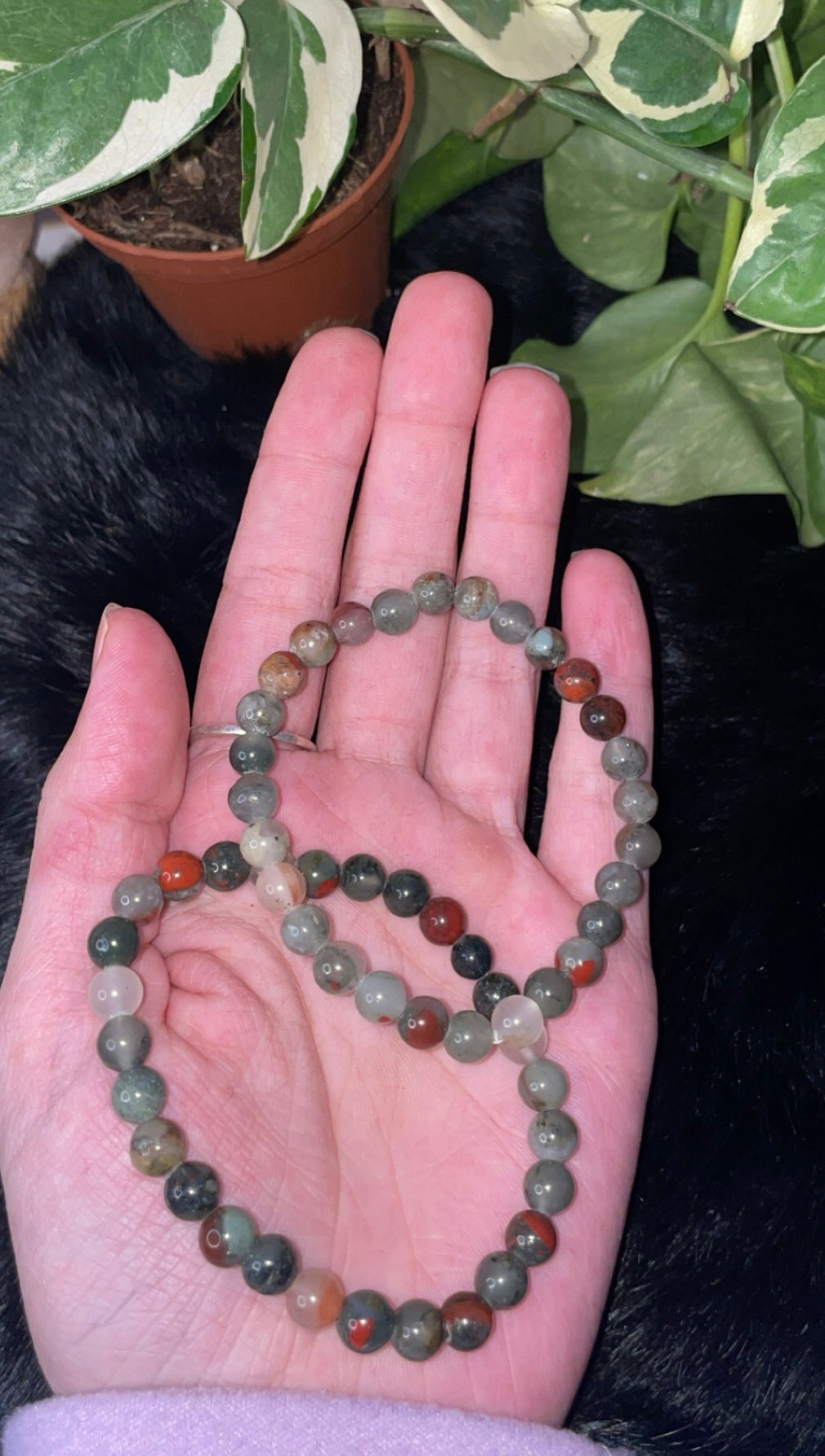 Chicken Bloodstone bead bracelet