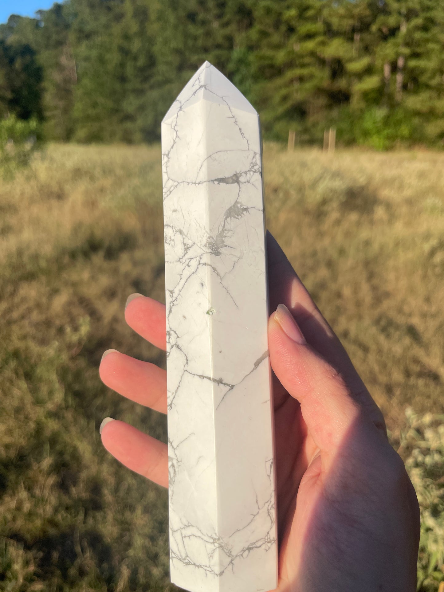 Imperfect Large 1lb Howlite tower #2