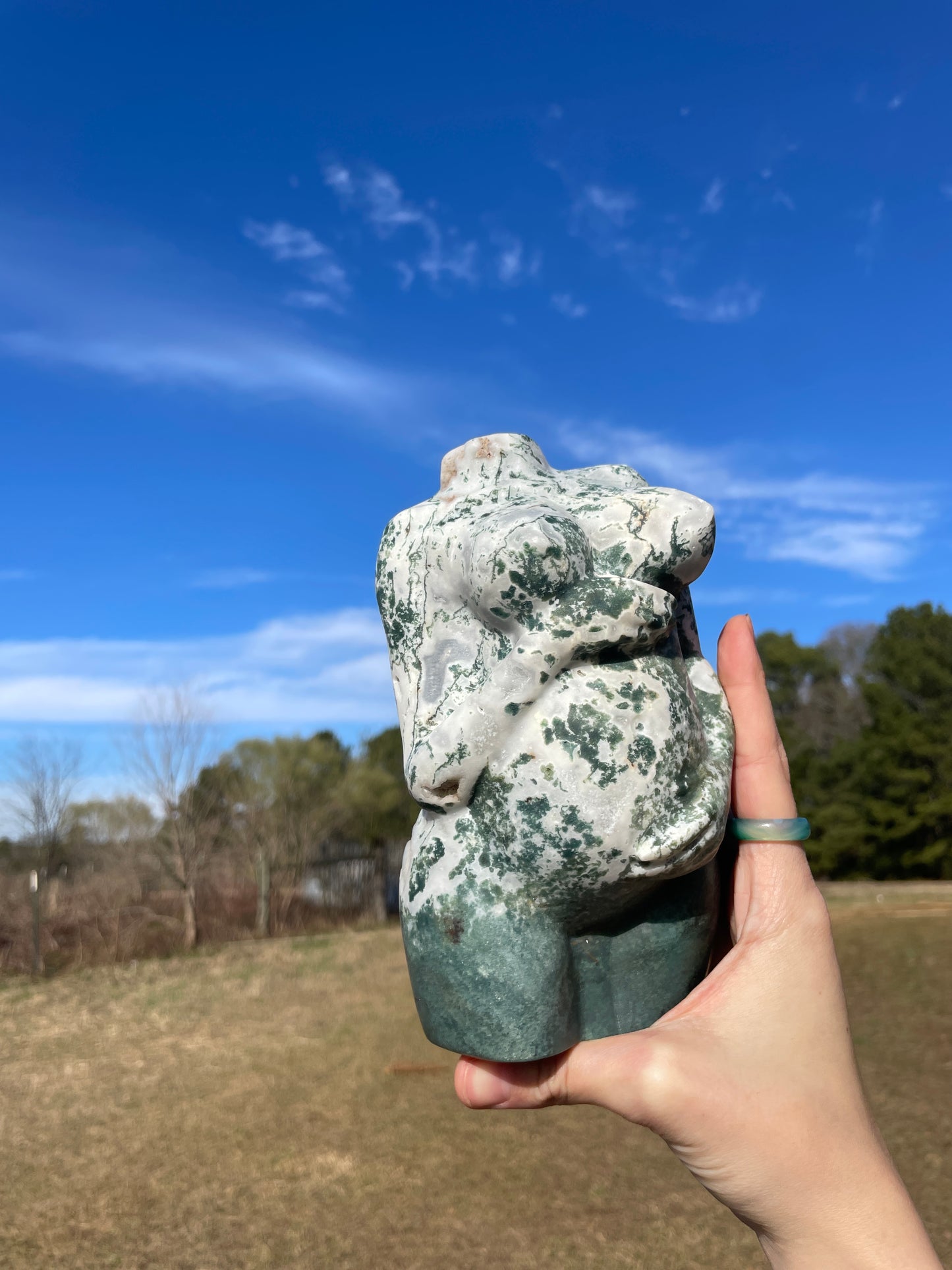 XXL Druzy Moss Agate Pregnant Goddess Carving (lady body)