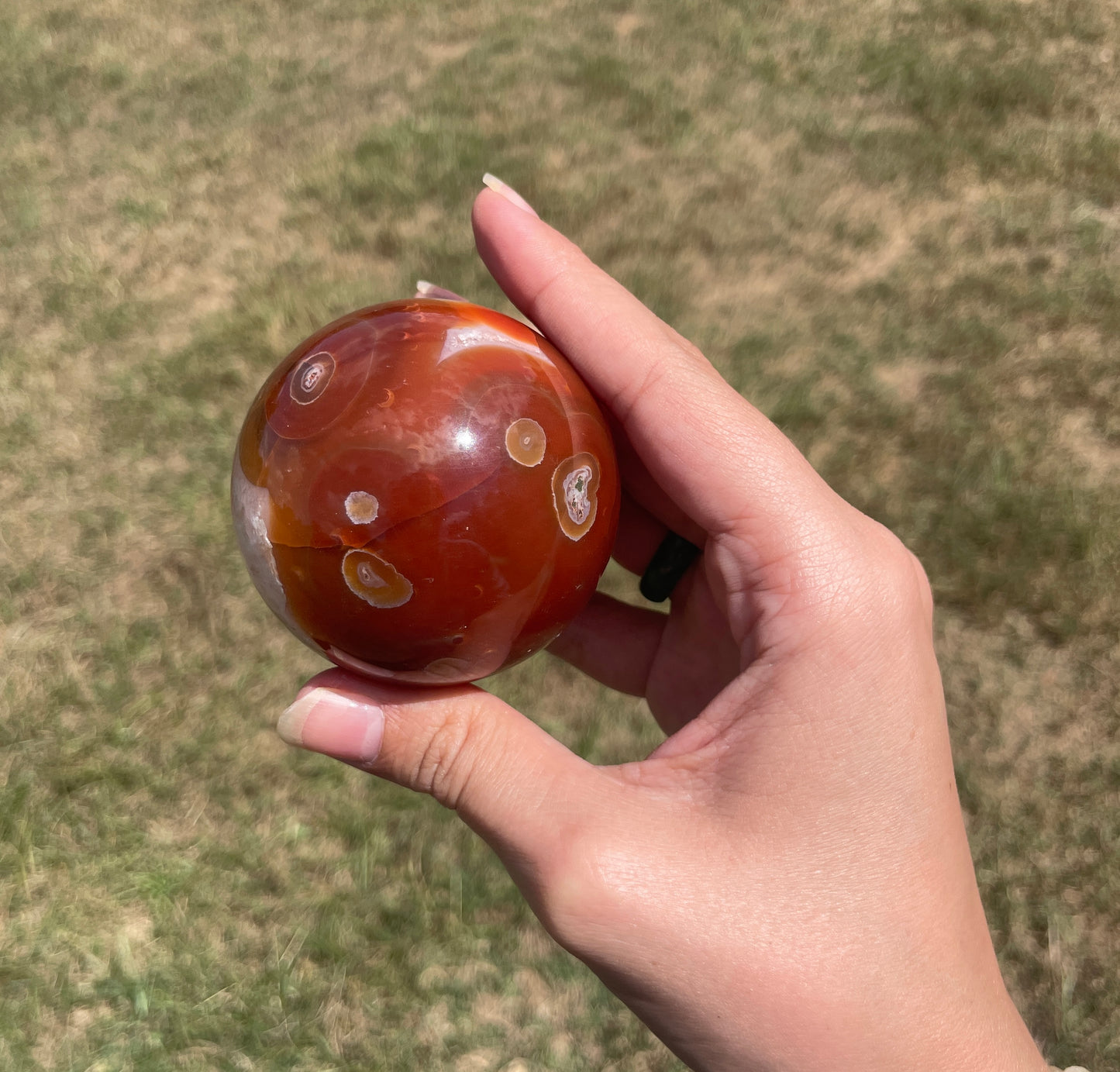 Red/Carnelian Moss Agate Sphere