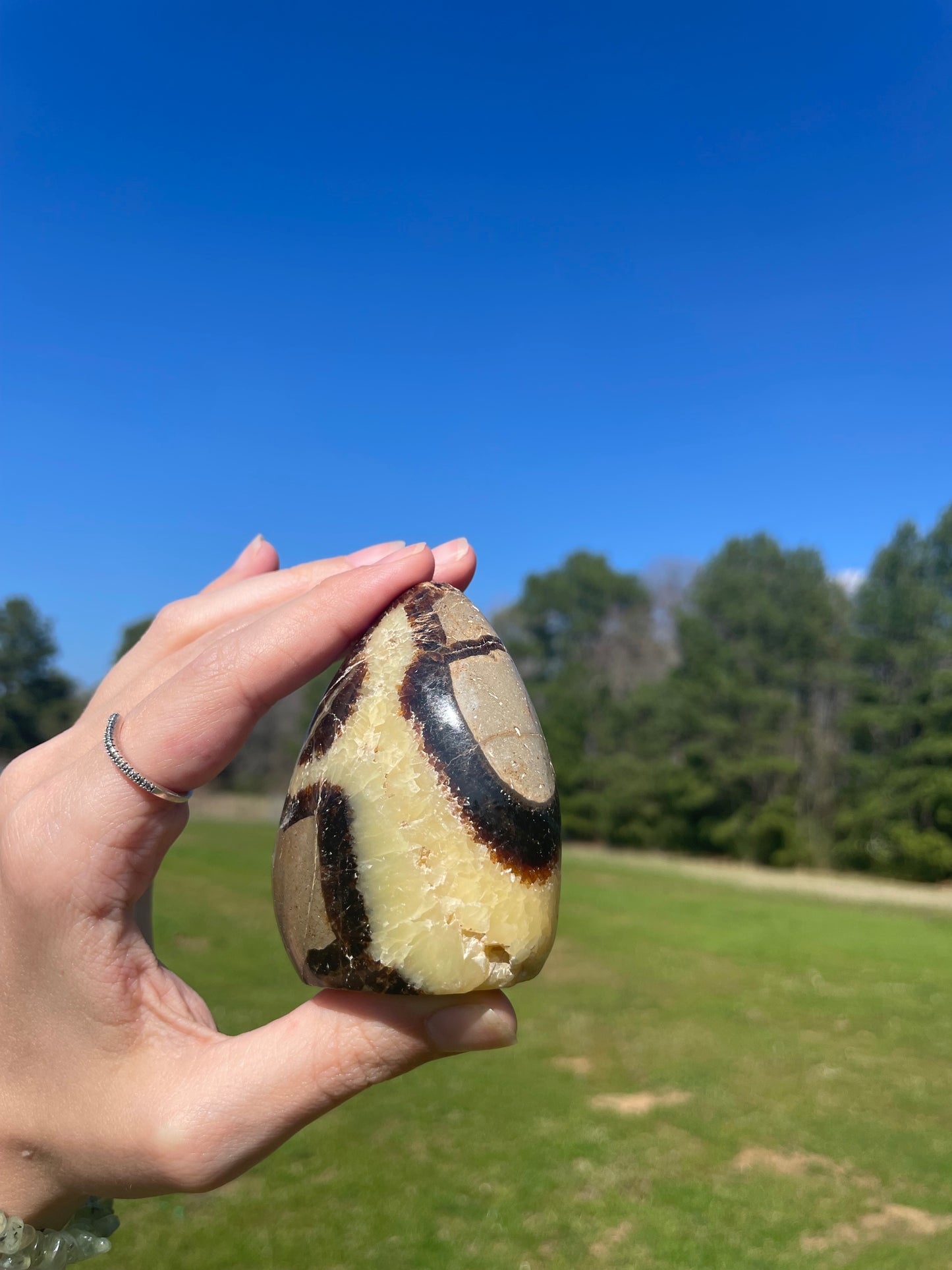 Druzy UV reactive Septarian Freeform #3