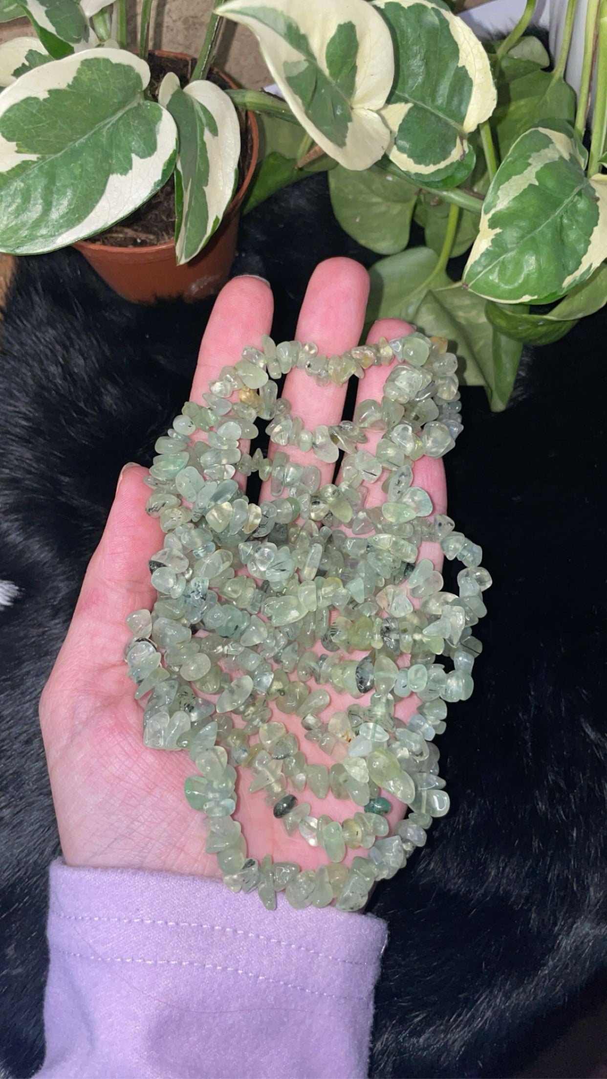 Prehnite with Epidote Bracelet