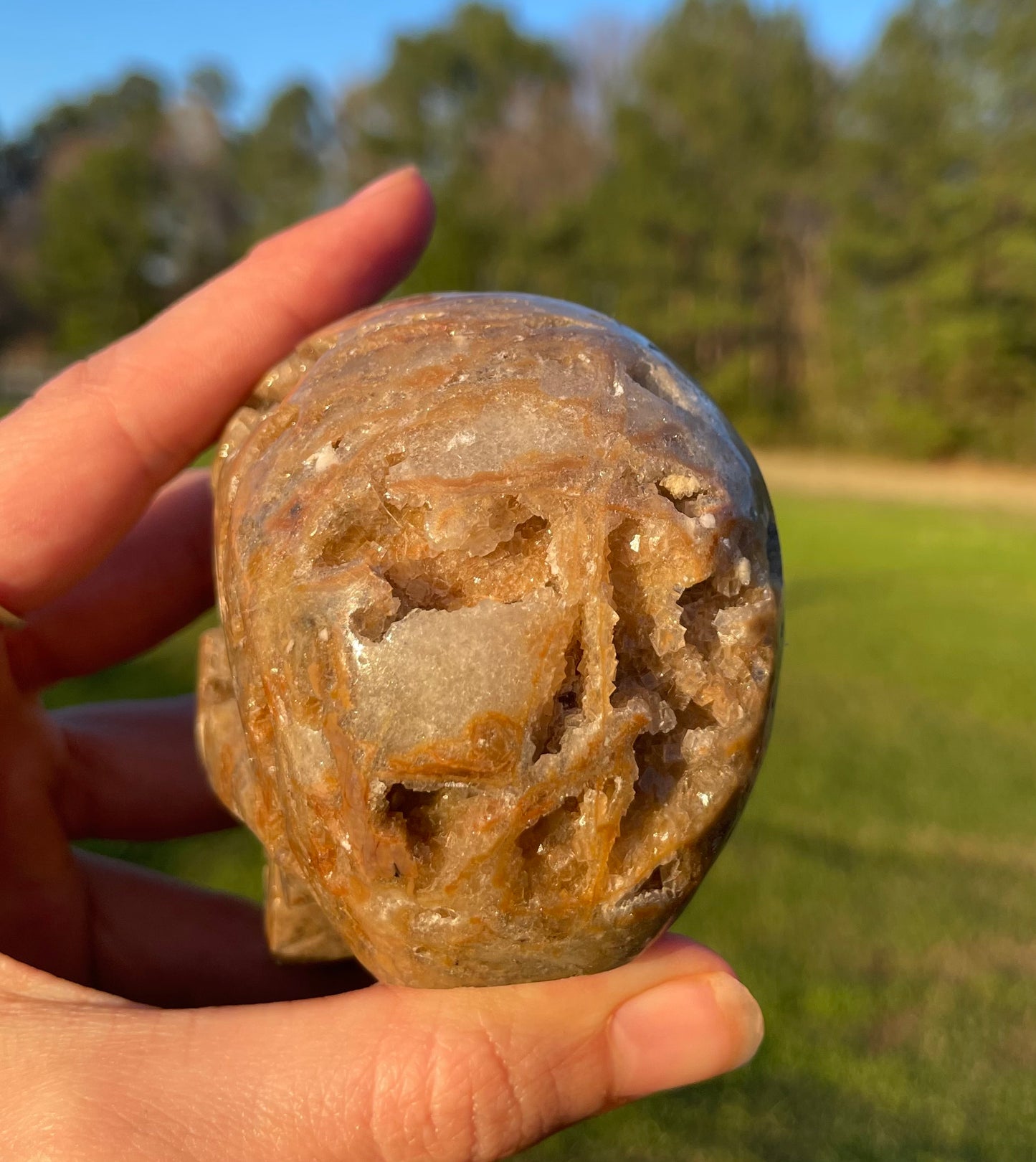 Unknown Material- Gorgeous Druzy Skull🤎