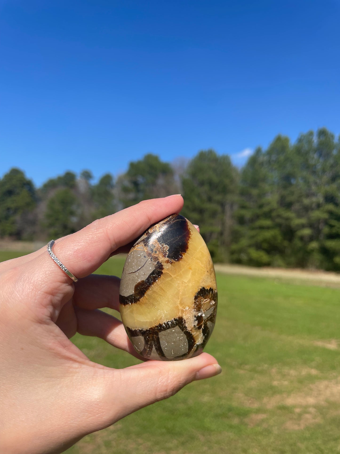 UV Reactive Septarian Freeform#1