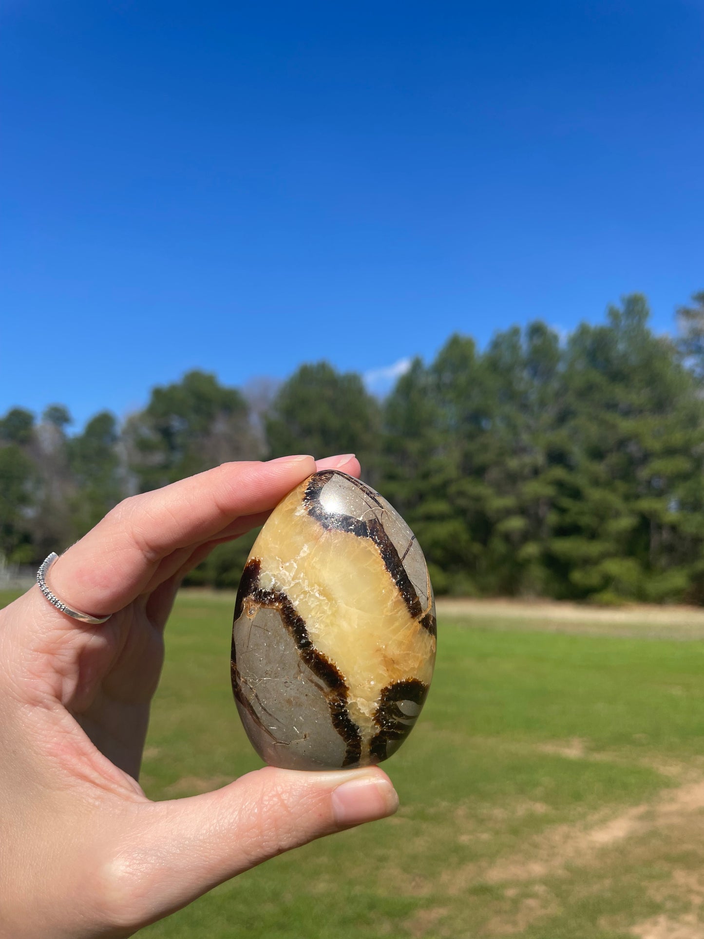 UV Reactive Septarian Freeform#1