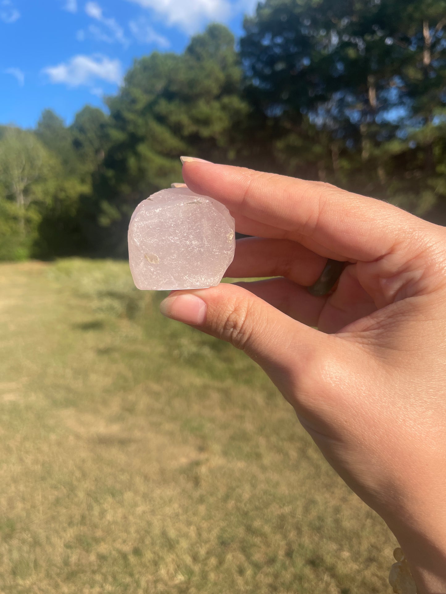 Mini Rose Quartz Rick Buddy #3
