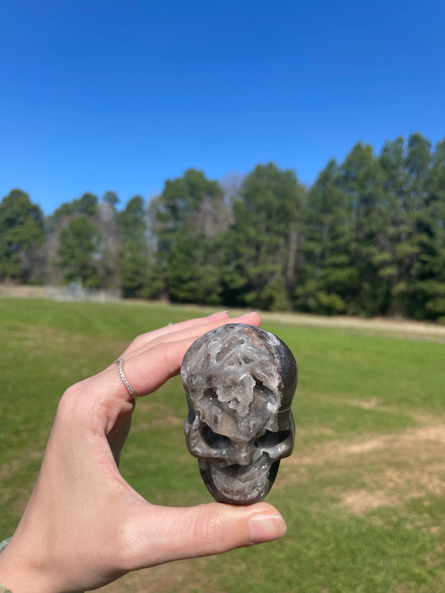 Druzy Sphalerite Skull #2🖤