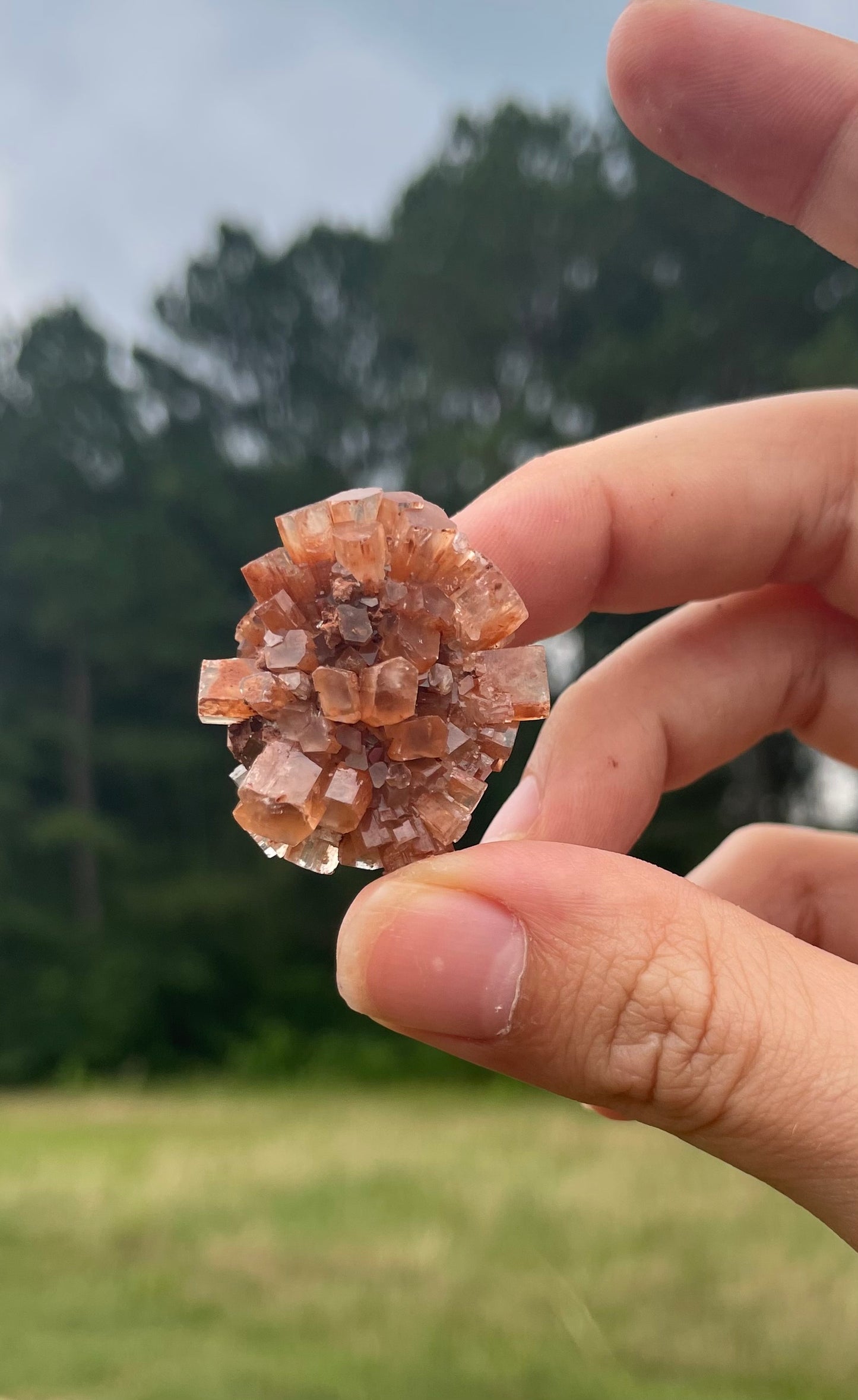 Raw Aragonite Cluster