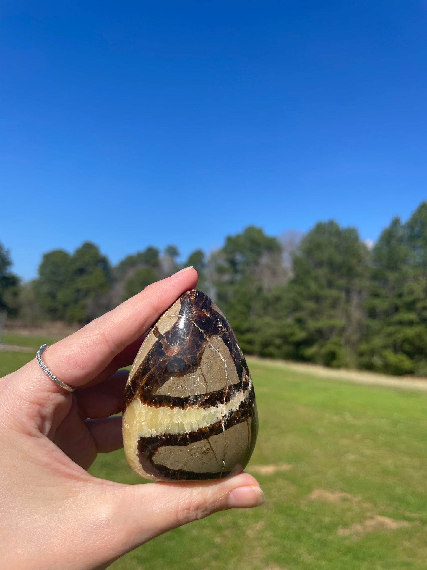 Druzy UV reactive Septarian Freeform #3