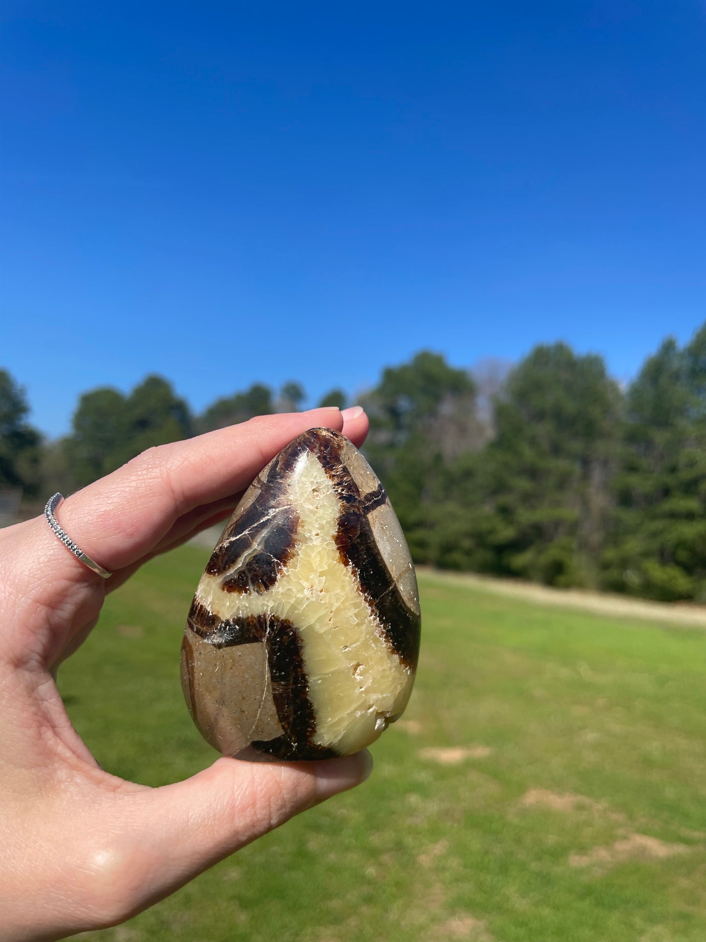 Druzy UV reactive Septarian Freeform #3