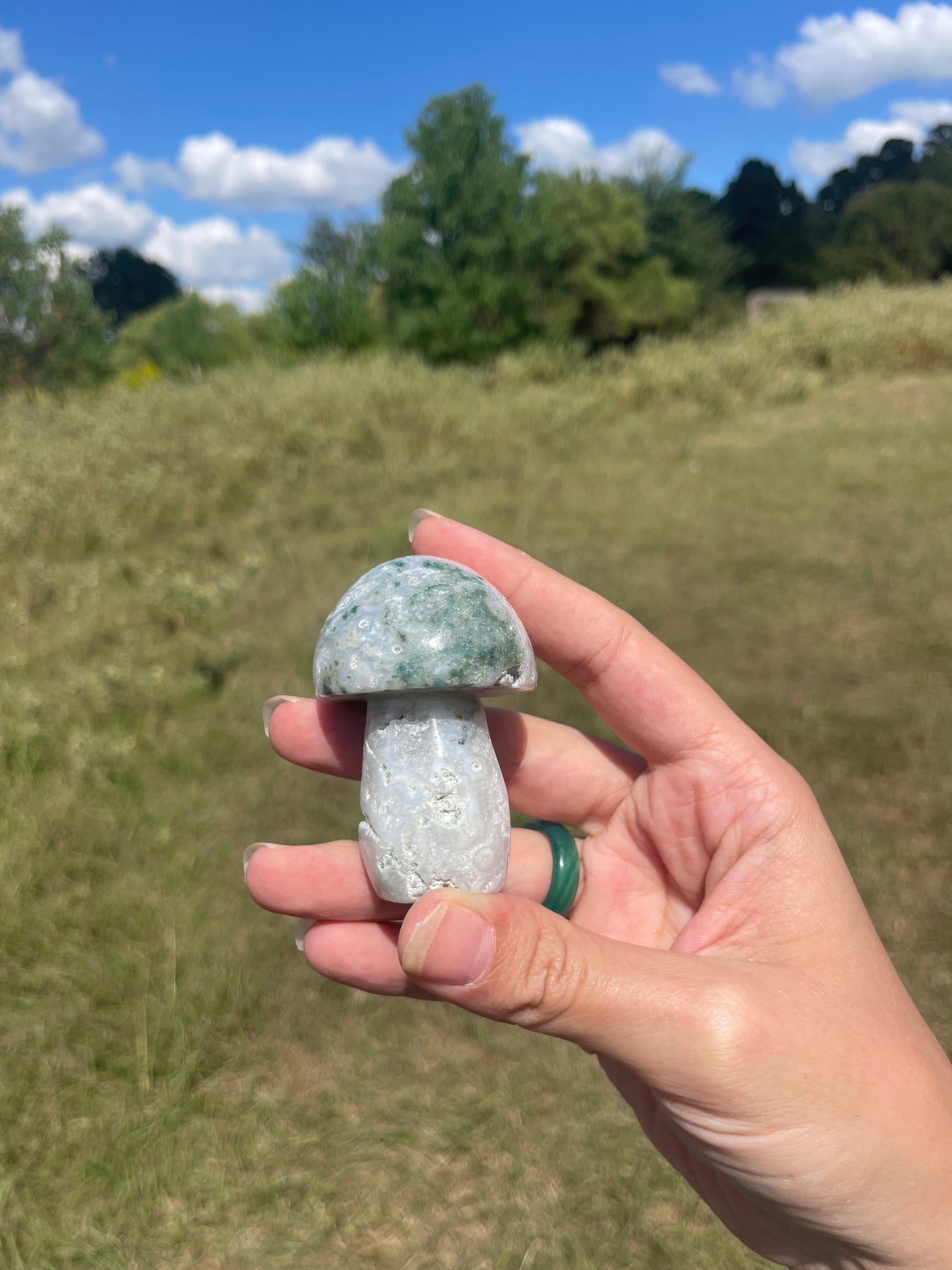 Druzy Large Moss Agate Mushroom #2